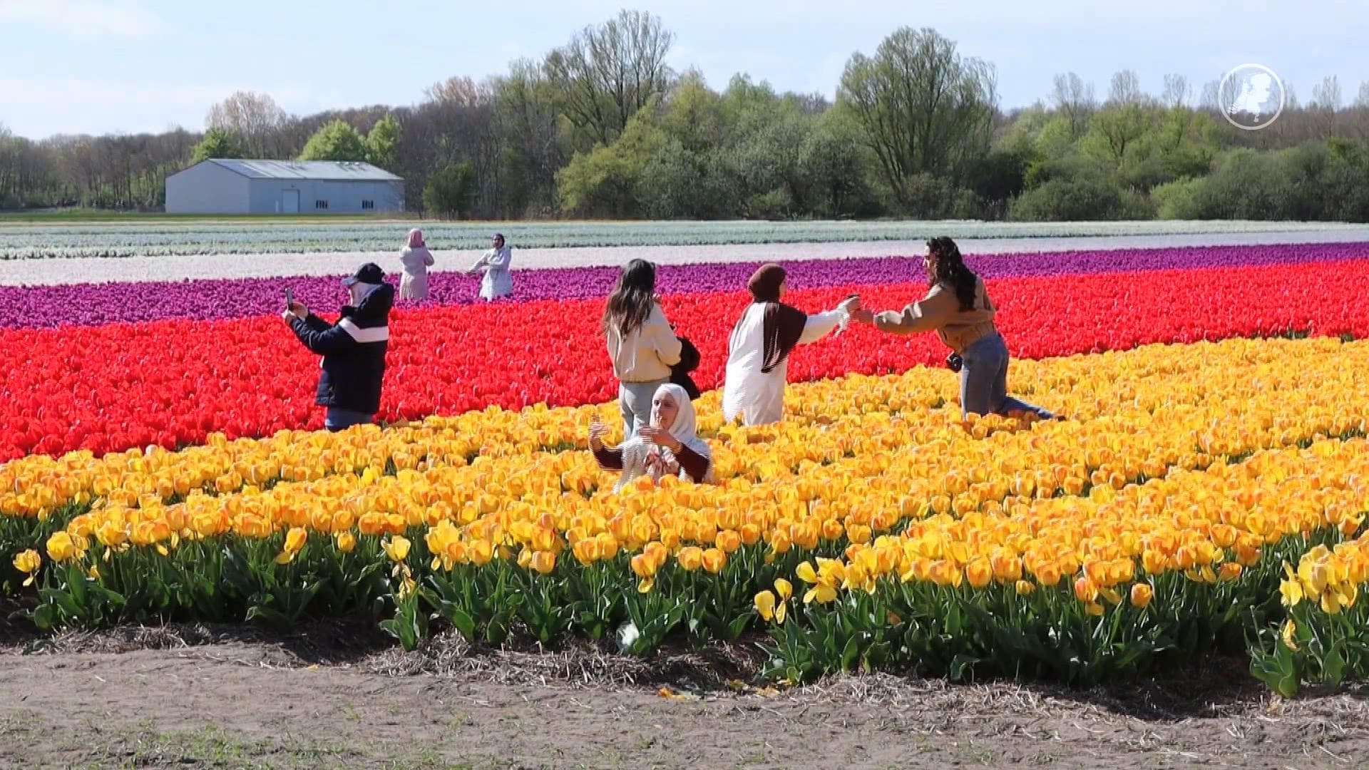 Toeristen boos nadat ze door kweker worden aangesproken