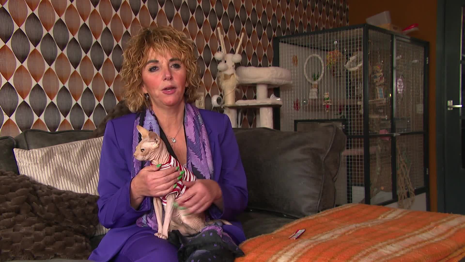 Nederlandse naaktkat Wilma krijgt rol in Vlaamse kijkcijferhit: 'Heel trots!'