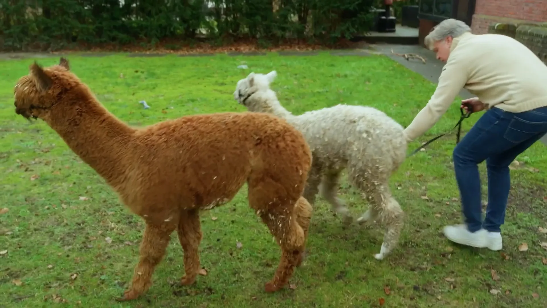 René Bogaart heeft een verrassing voor zijn vrouw Sandra