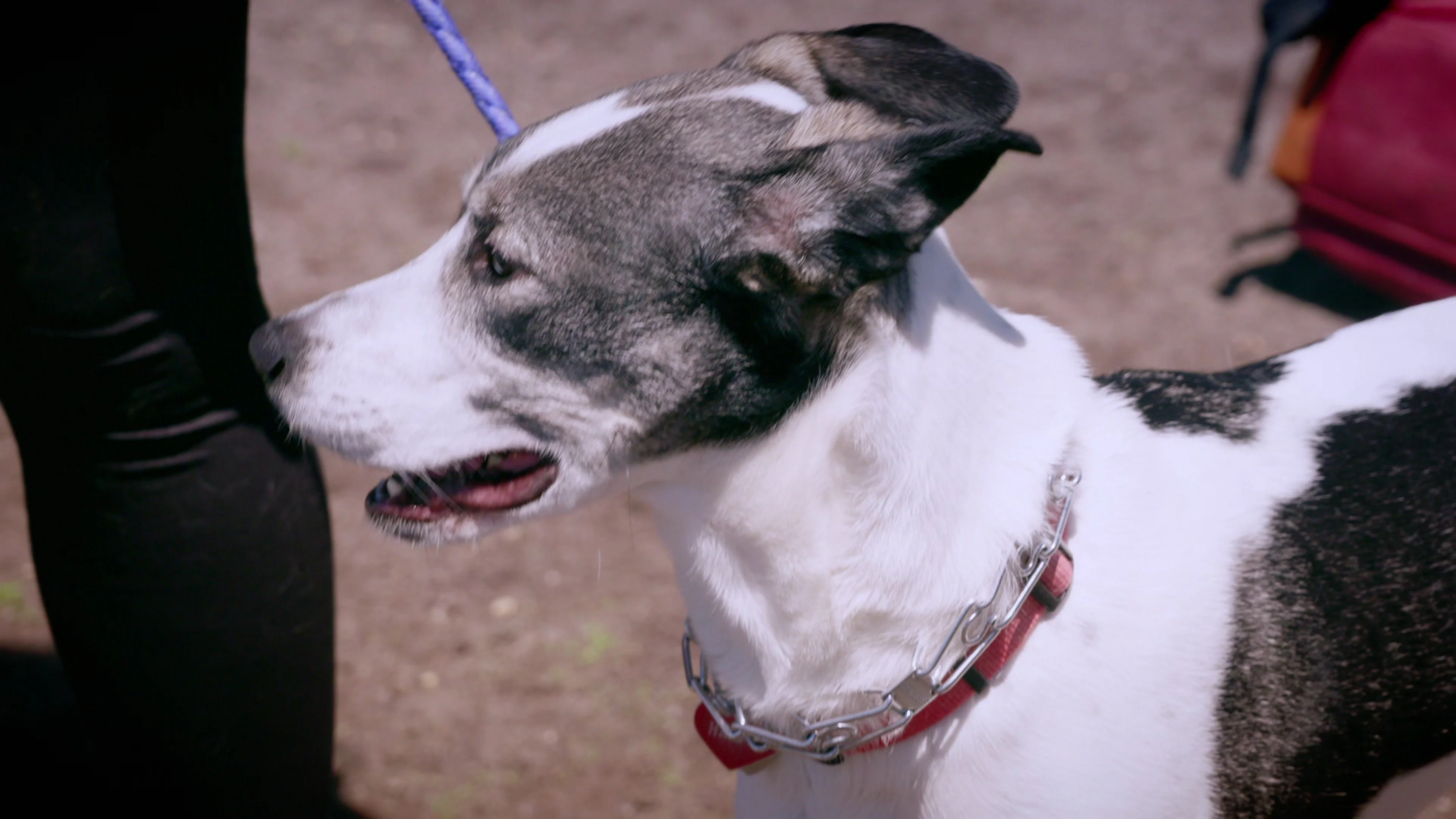 Unbelievable Moments: Caught on Camera