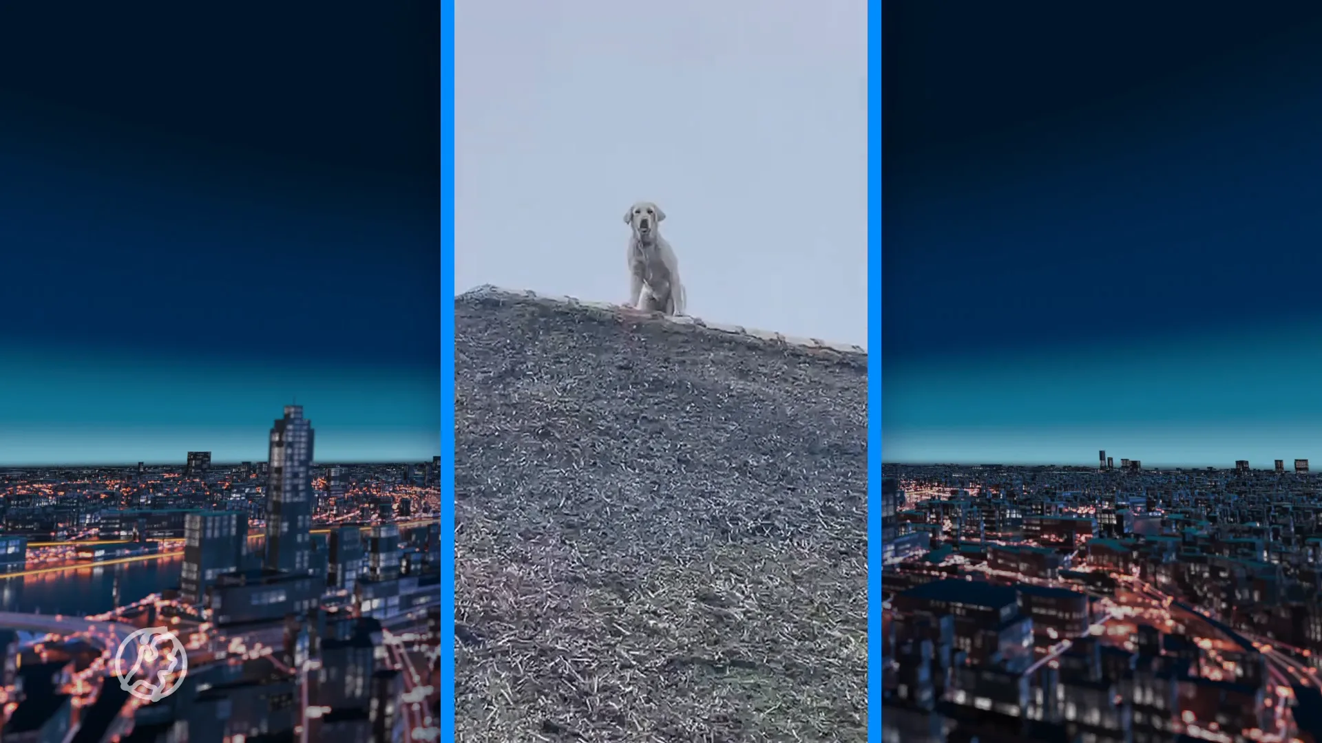 Hond klimt op dak en durft er niet meer af, brandweer schiet te hulp