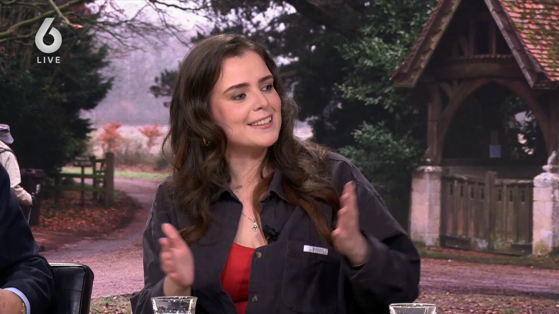 Voormalig Prins Andrew gearresteerd