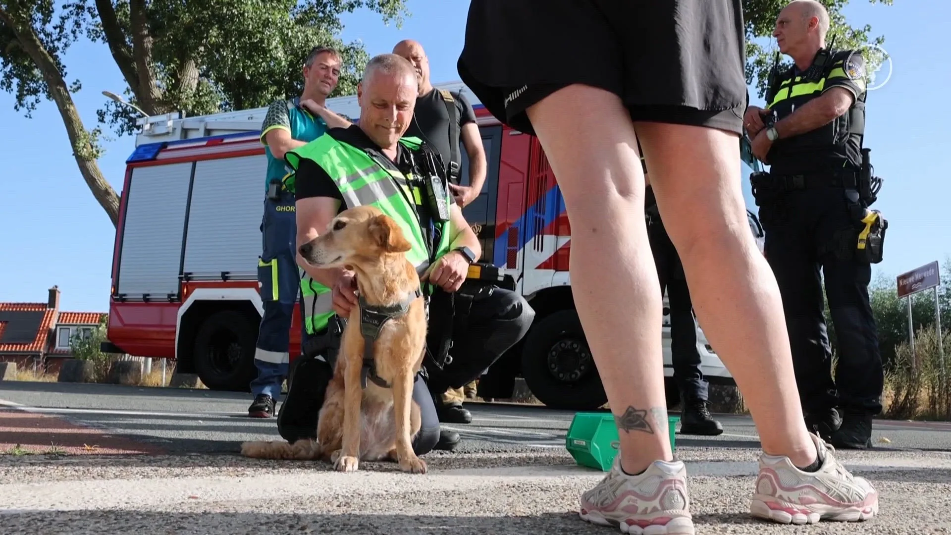 Auto met caravan rolt van talud bij pont, hond uit voertuig gered