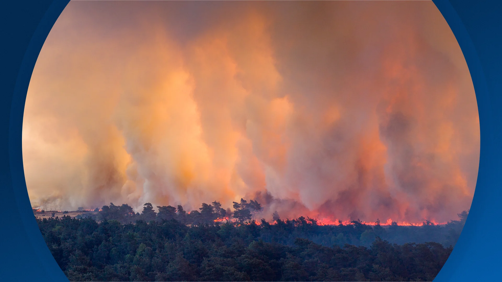 Seizoen 2026, aflevering 87