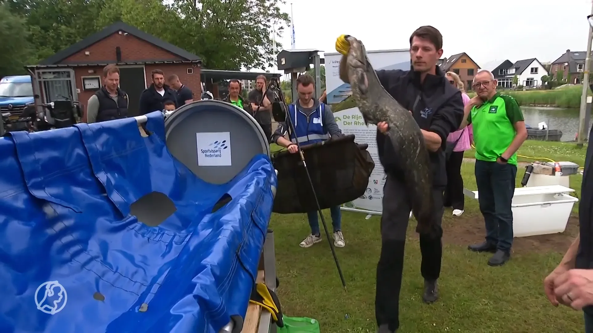 Hengelen voor de wetenschap: trekvissen worden voorzien van zender