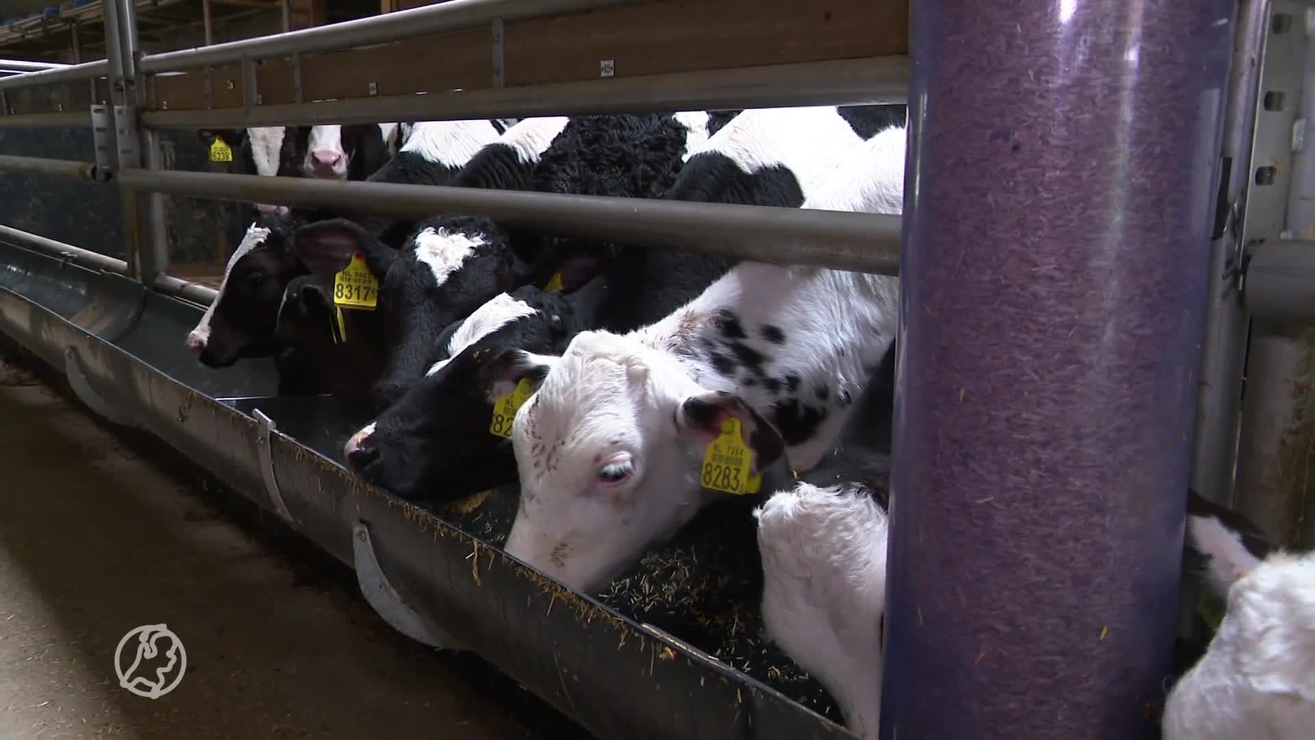 Boer Jan uit Stroe twijfelt door hoofdlijnenakkoord om zich toch niét te laten uitkopen