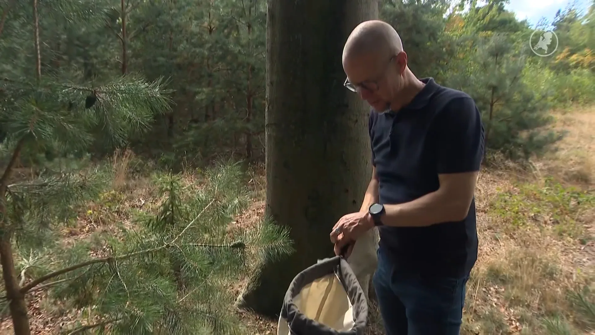 David was eerst doodsbang voor spinnen, nu is hij expert