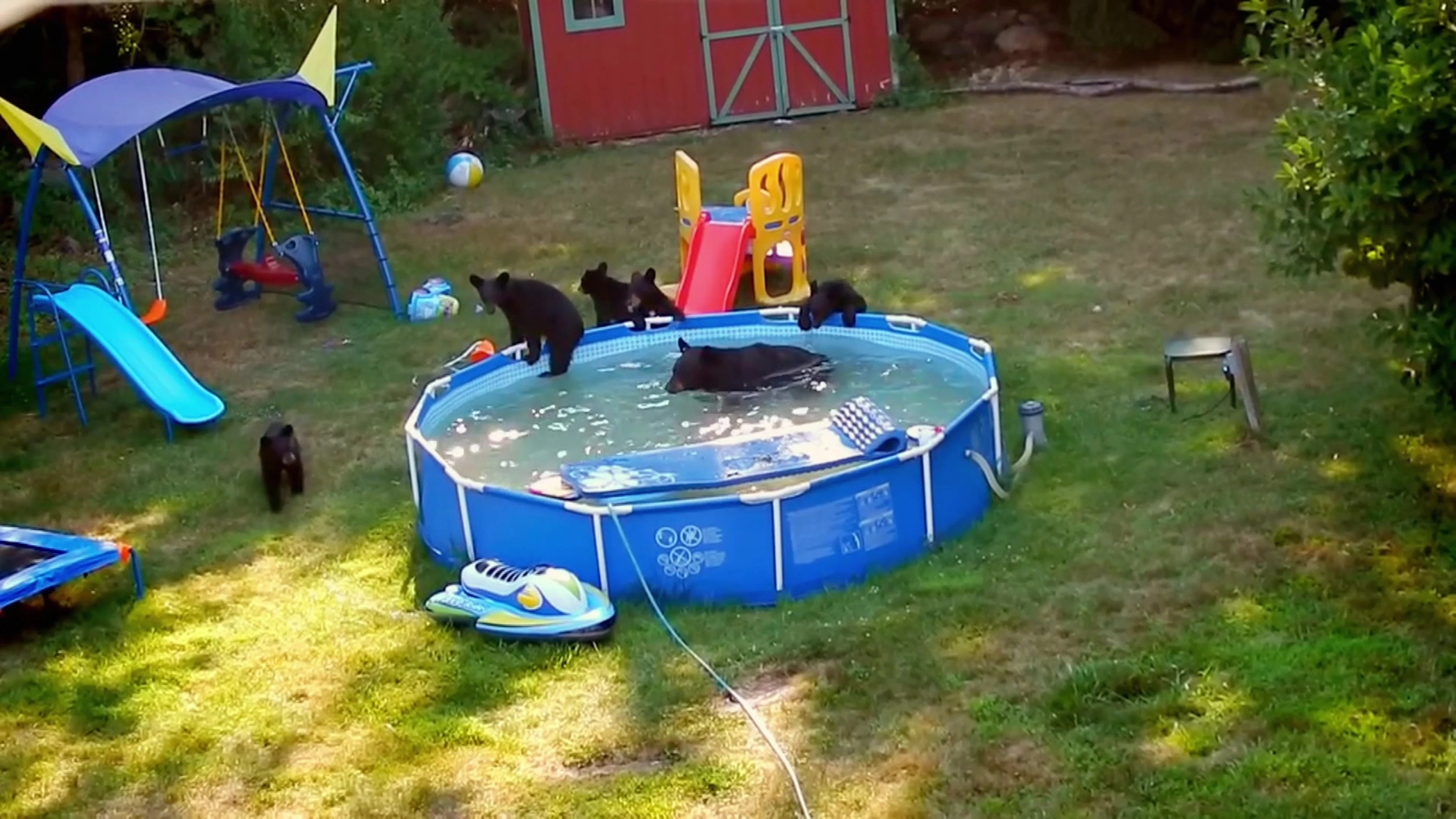 Unbelievable Moments: Caught on Camera