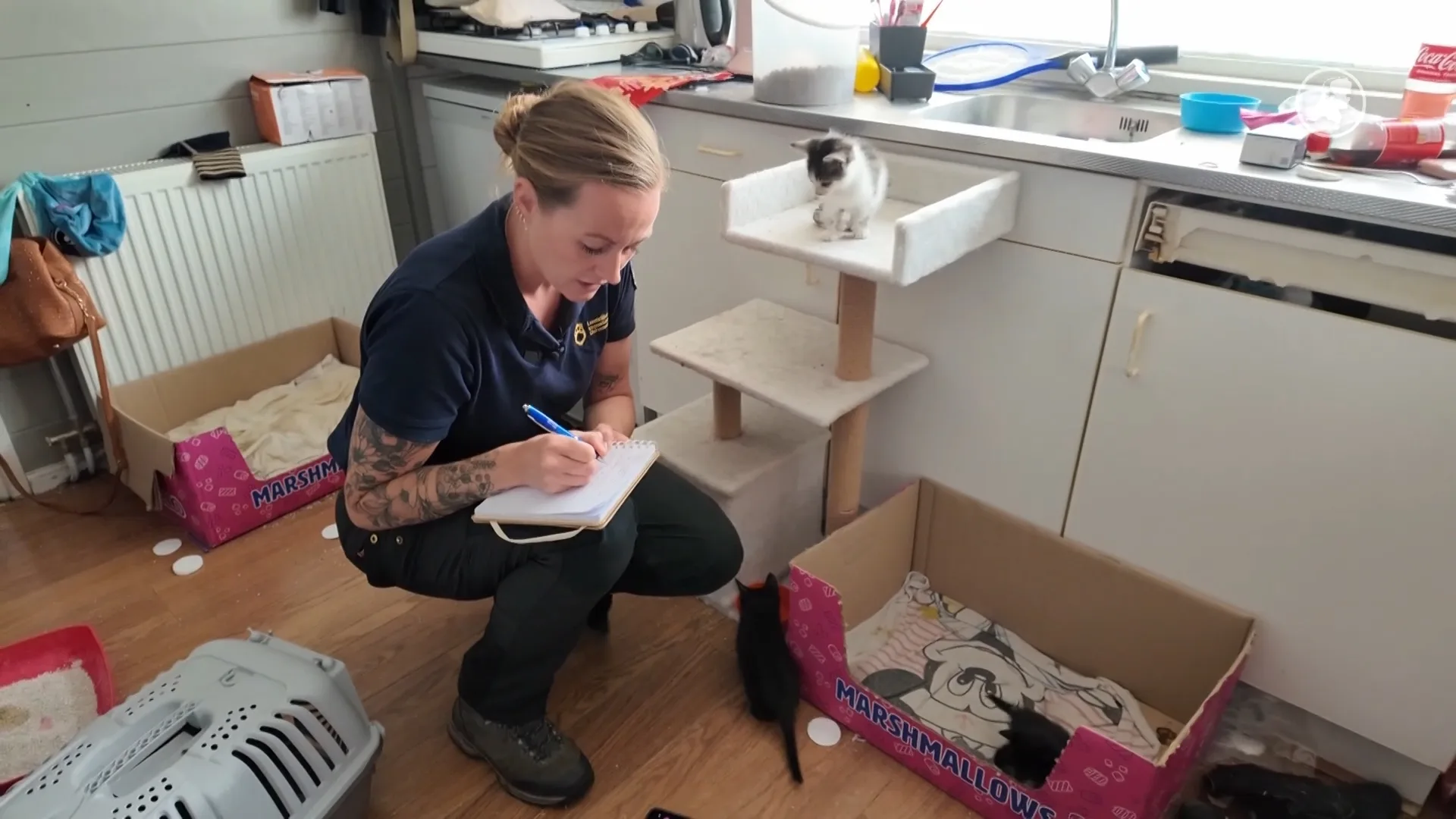 Kijk mee: zo onderzoekt de diereninspectie een melding