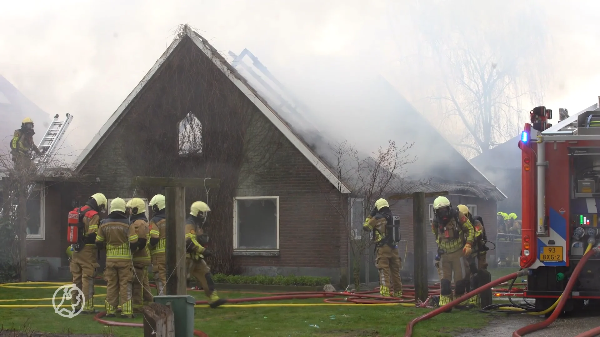 Jonge koetjes ontsnappen aan vlammen bij stalbrand
