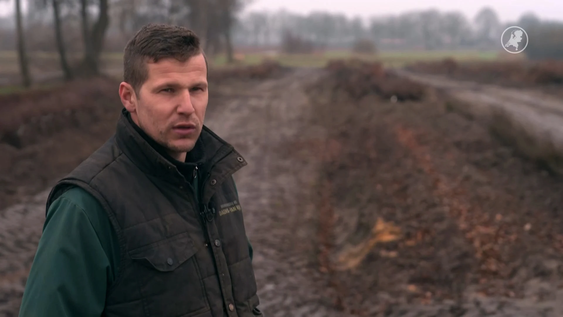 Dieven slaan toe bij kweker Leroy, 2500 rode beukjes weg: 'Echt balen'