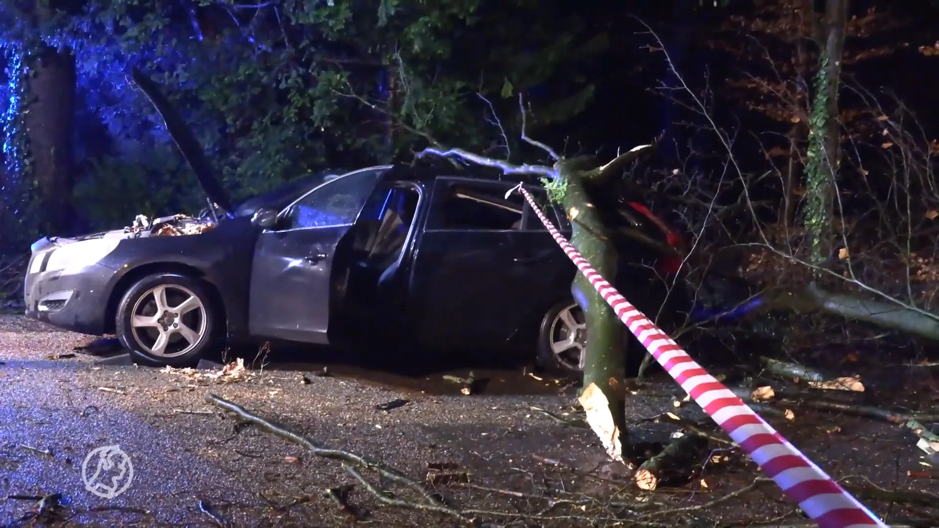 Boom valt op auto met daarin gezin van vijf personen in Winterswijk
