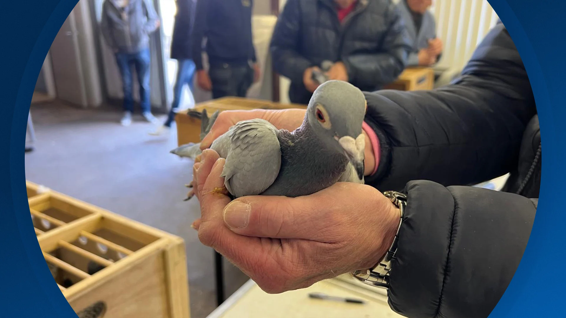 Seizoen 2026, aflevering 100