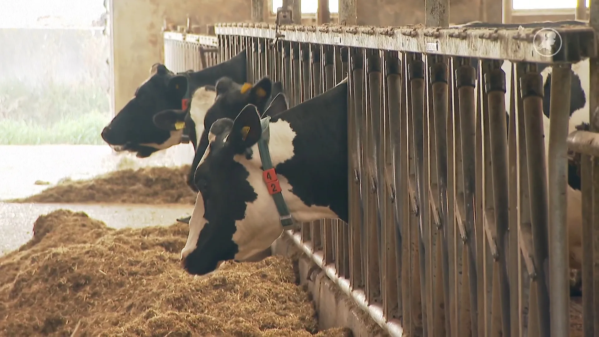 Veel waardering voor boeren na jaren strijd, maar harde acties verdelen Nederland