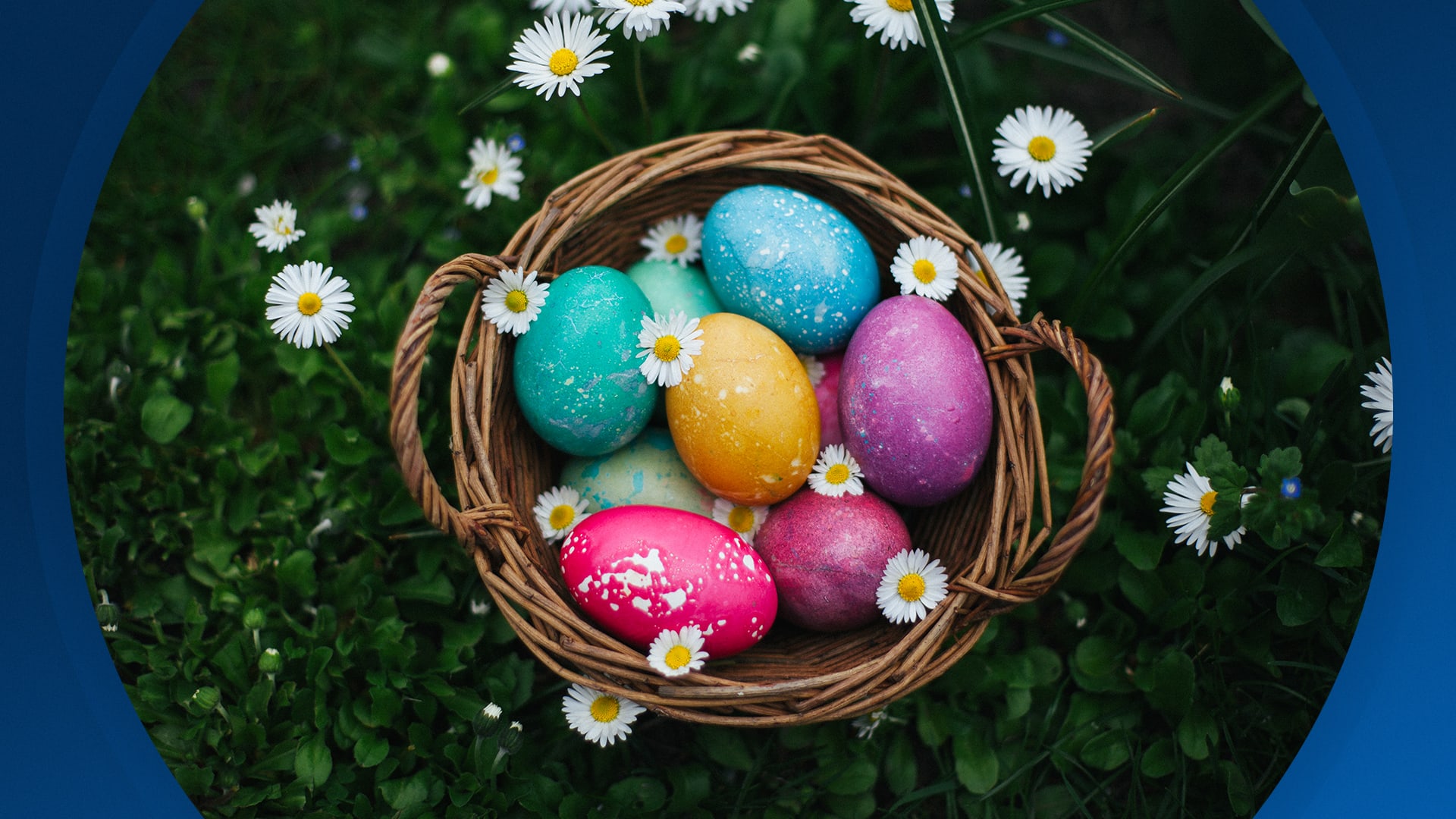 Seizoen 2026, aflevering 69