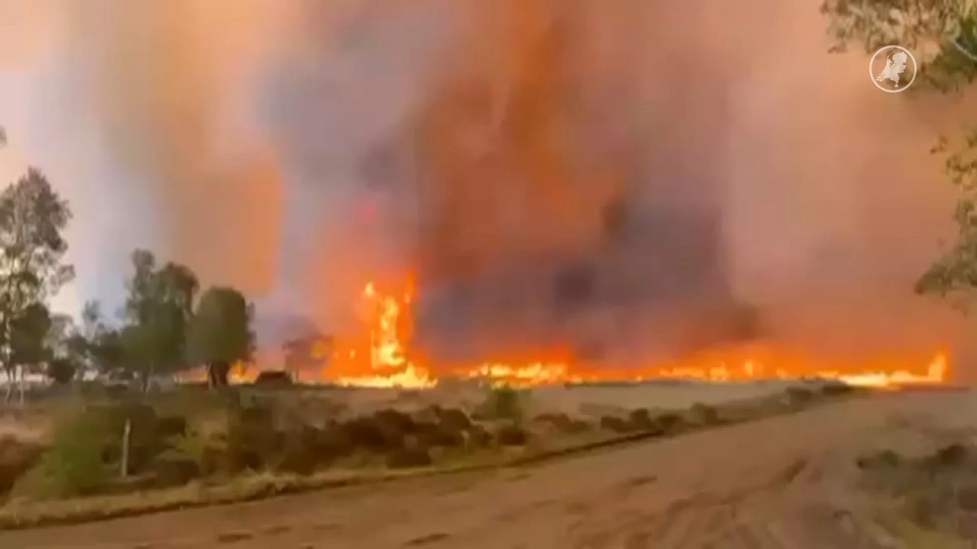 In beeld: vlammenzee op militair oefenterrein bij 't Harde