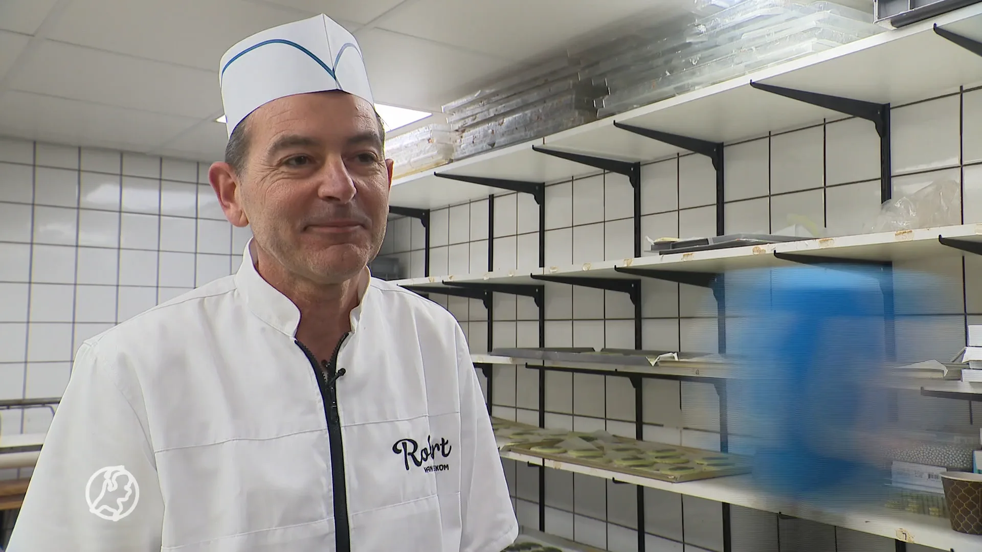 Koala-gekte in Rhenen: patisserie maakt speciale gebakjes voor opening nieuw verblijf