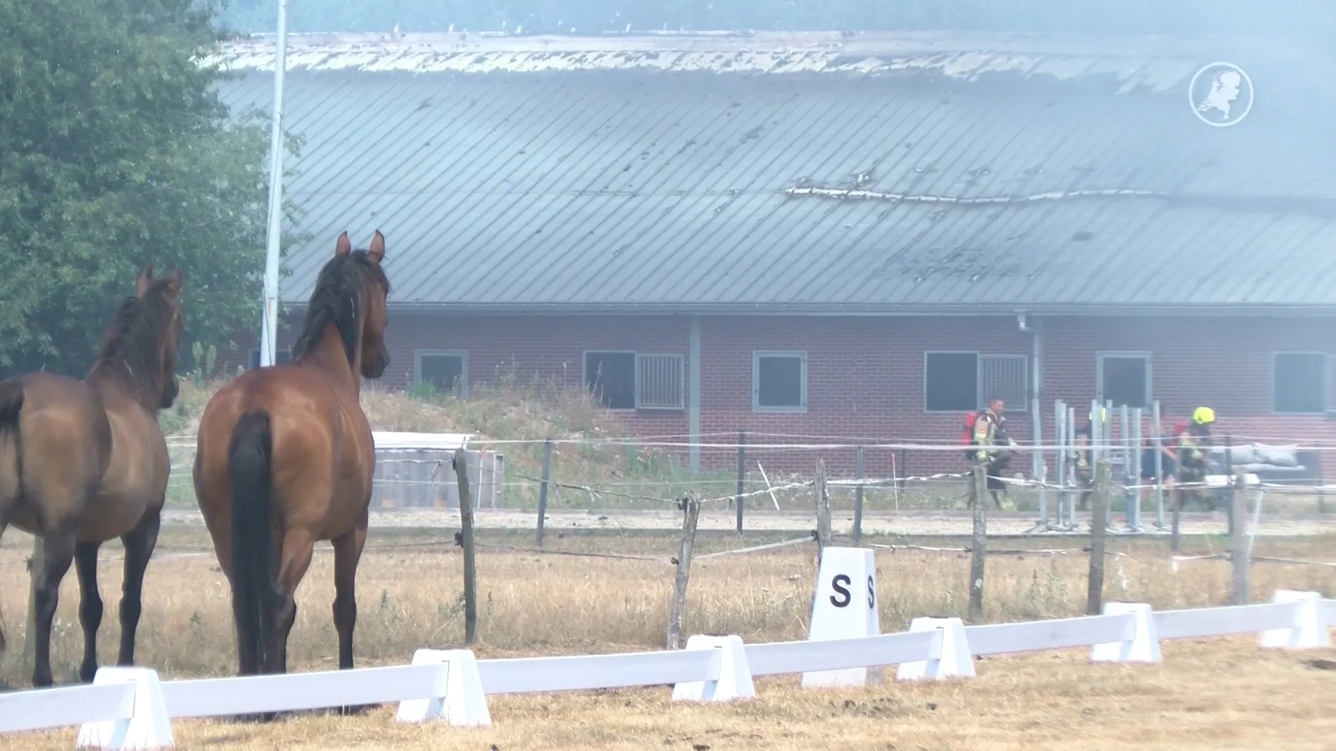 Paarden omgekomen bij stalbrand Clinge
