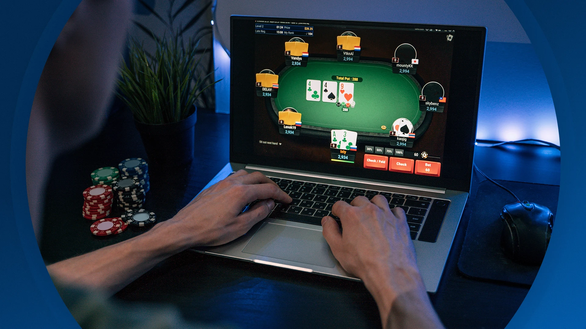 Seizoen 2026, aflevering 43