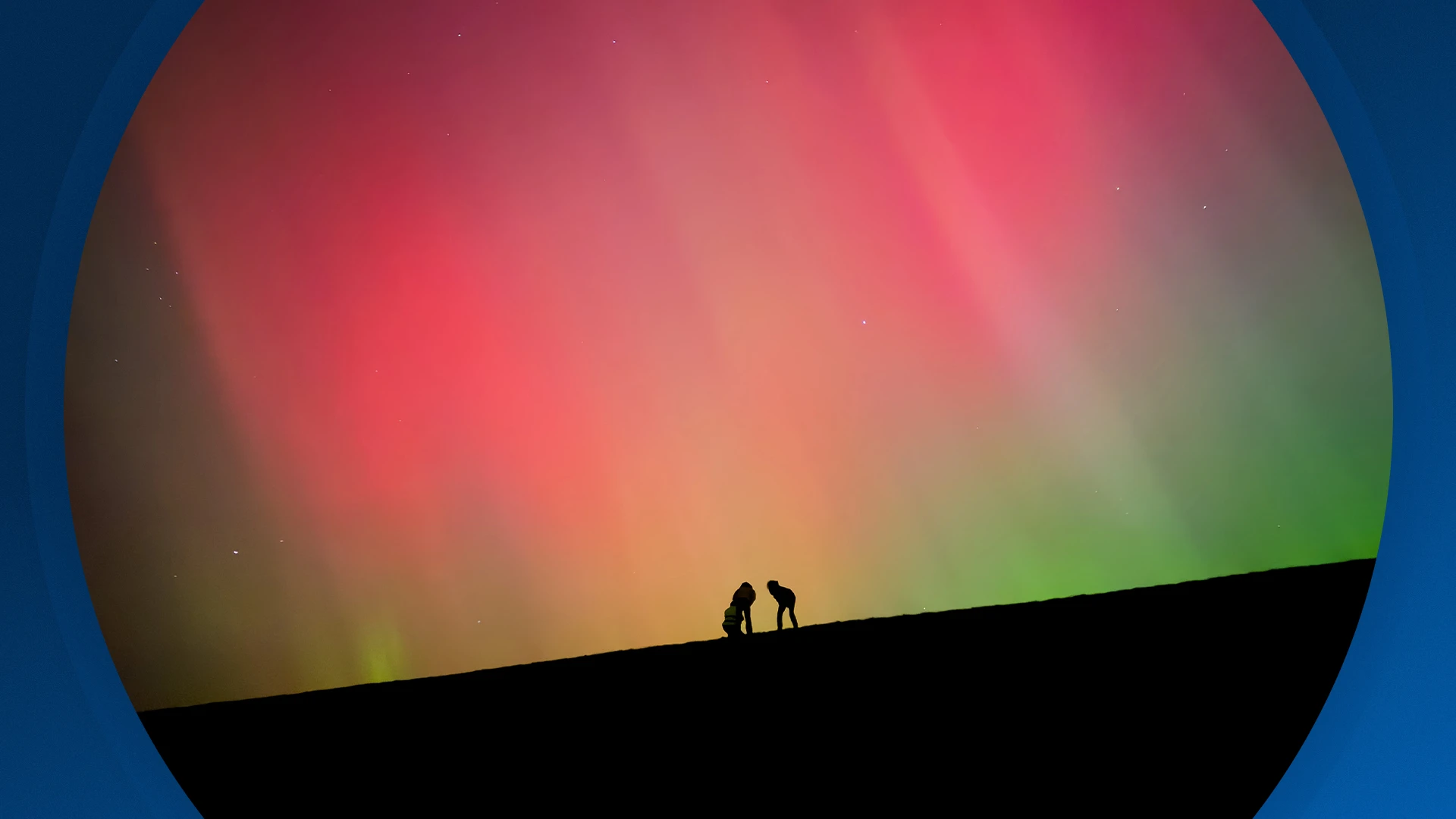 Seizoen 2026, aflevering 77