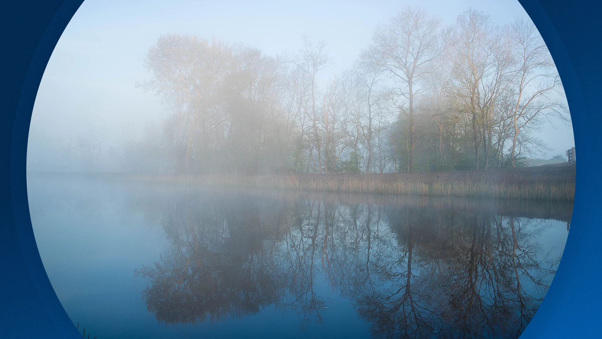 Seizoen 2026, aflevering 19