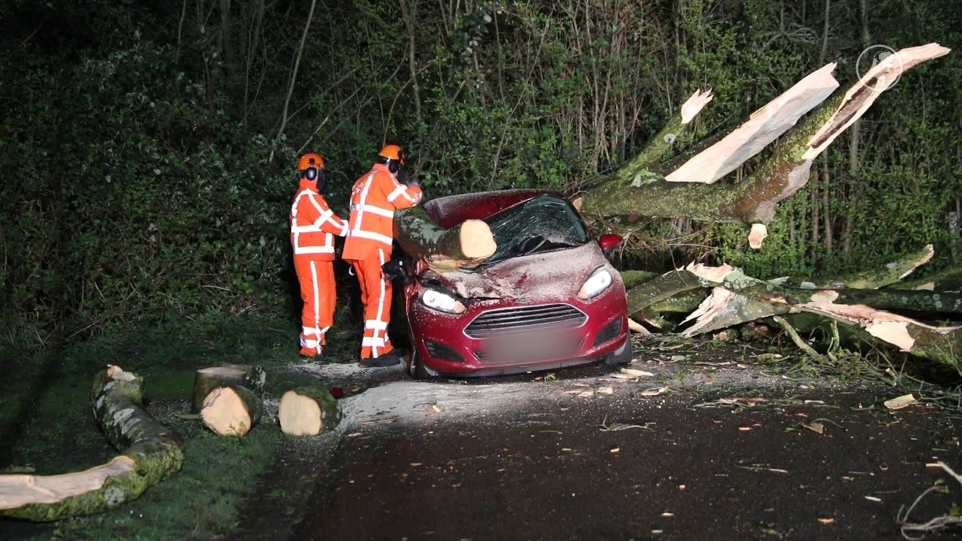 Veel schade na storm: omgevallen bomen en dak waait eraf