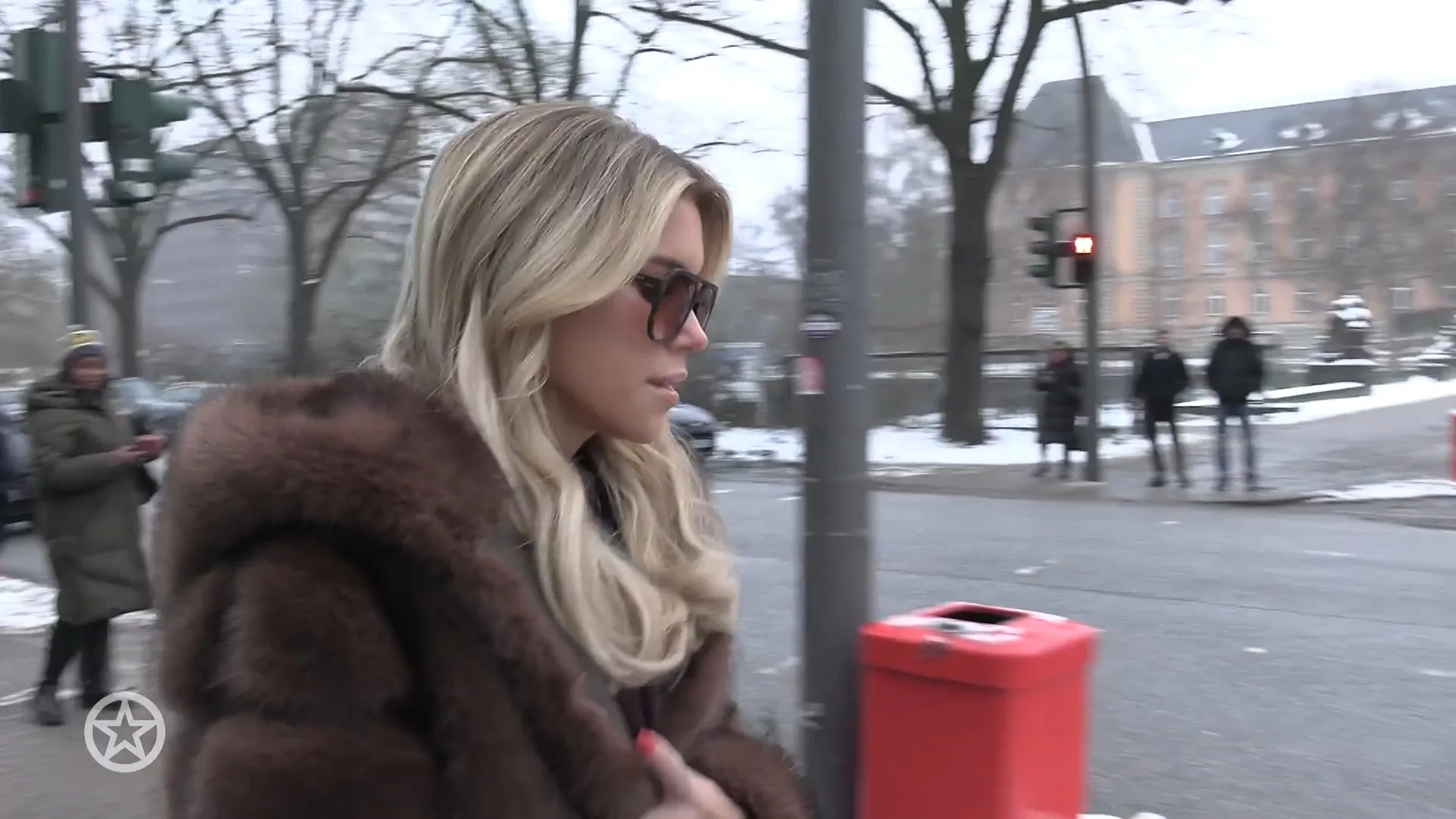 Sylvie Meis verklaart in rechtszaak tassenroof