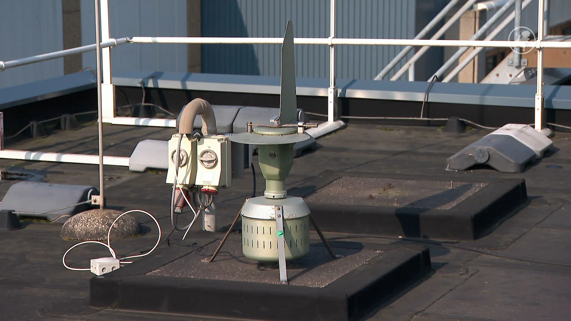 Het is weer zover: kwart van Nederlanders had alweer last van hooikoorts