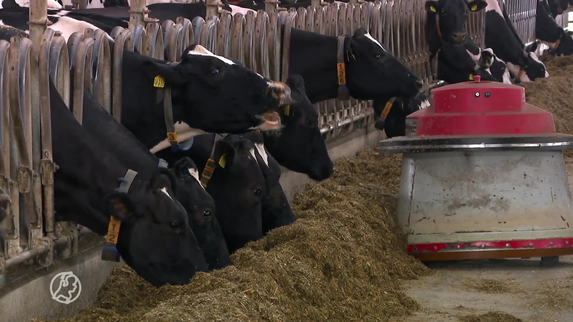 Boer Harold optimistisch over akkoord: 'Donkere wolken trekken weg'