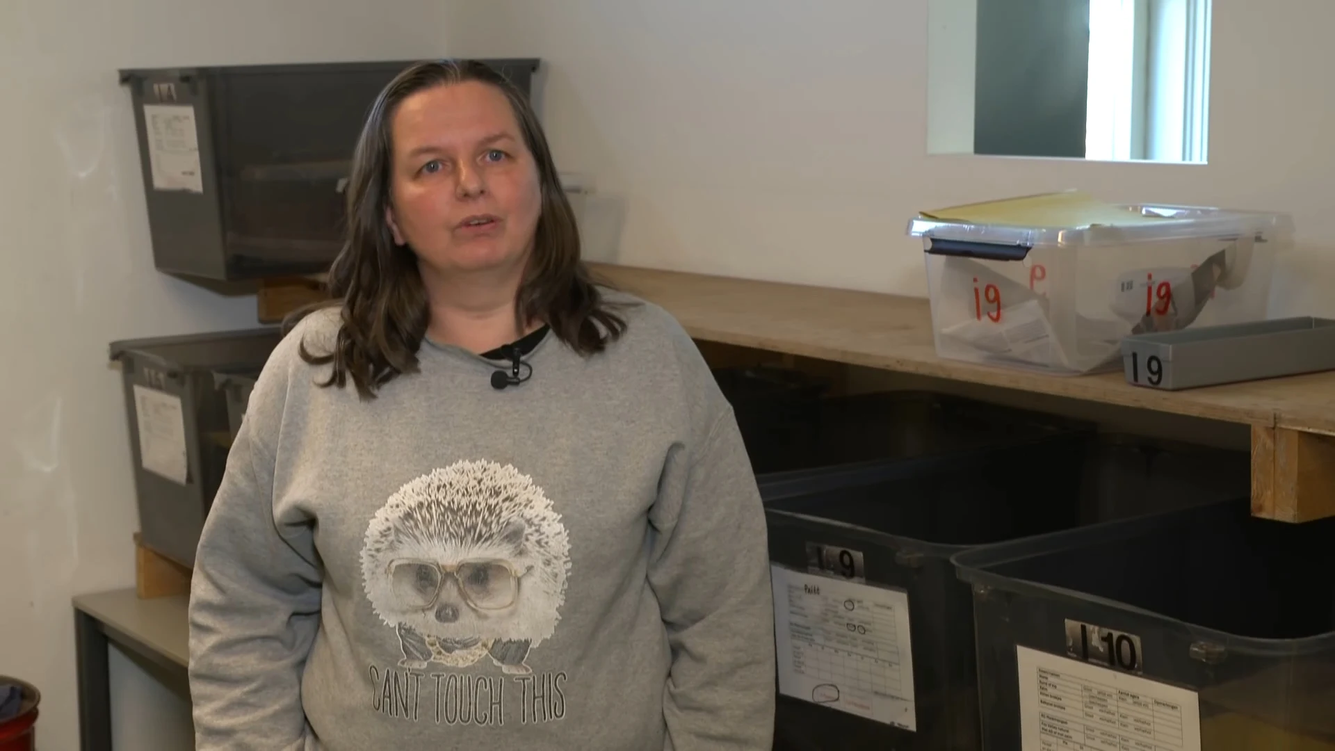 Egelopvang waarschuwt: pas op met lijmplanken, ook egels slachtoffer