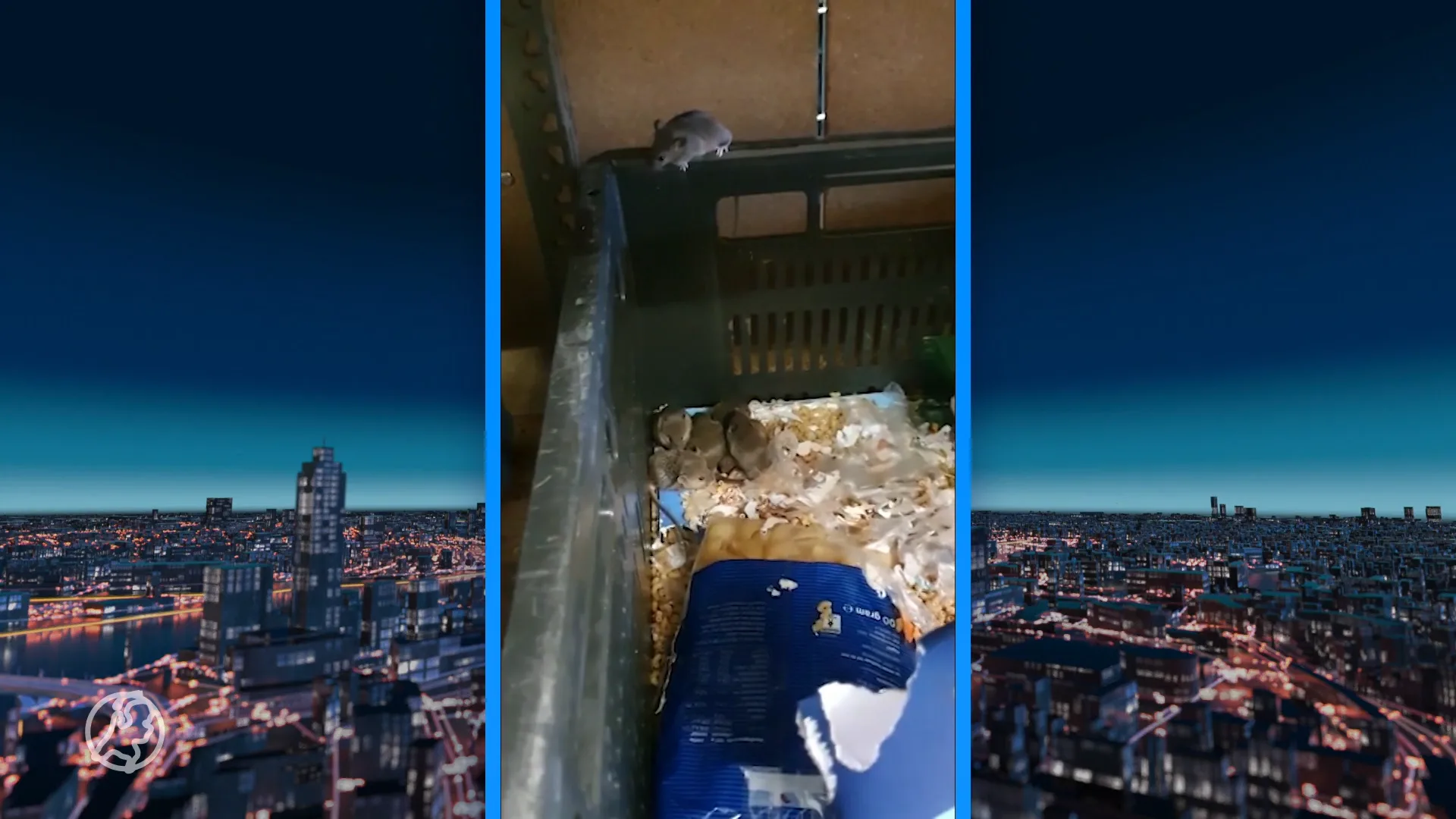 Ongedierte zorgt voor steeds meer spoedsluitingen horecazaken