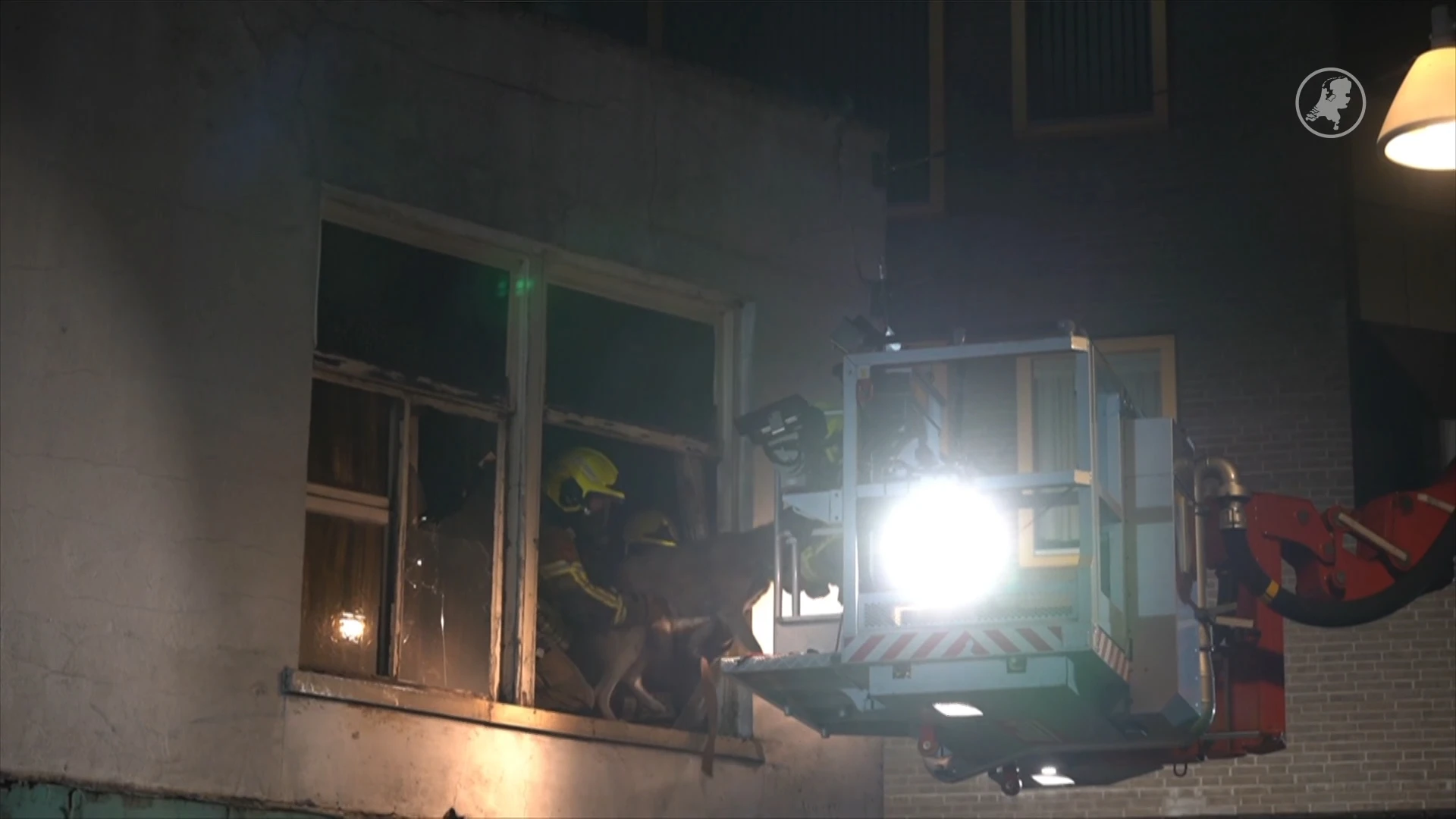 Nachtelijke brand in Nijmegen: honden uit pand gehaald