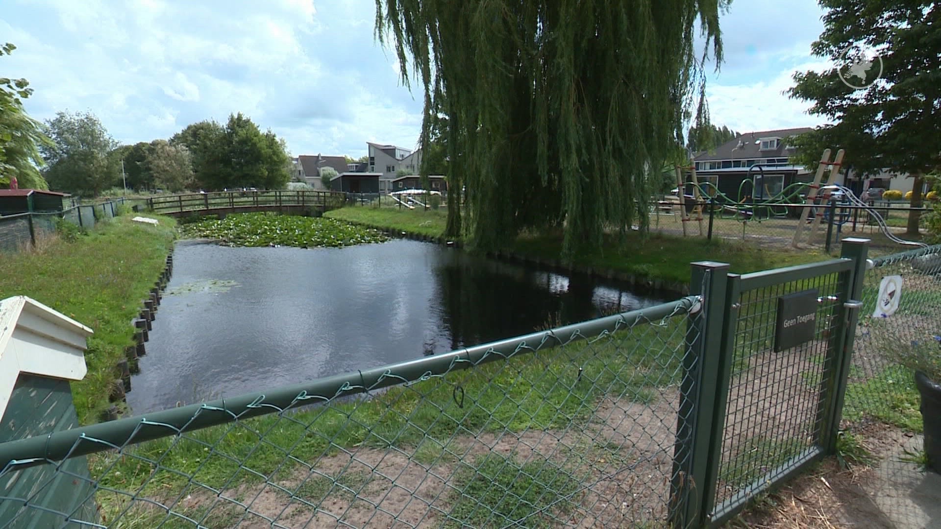 Vogelgriep en botulisme vellen dieren in gemeente Wormerland