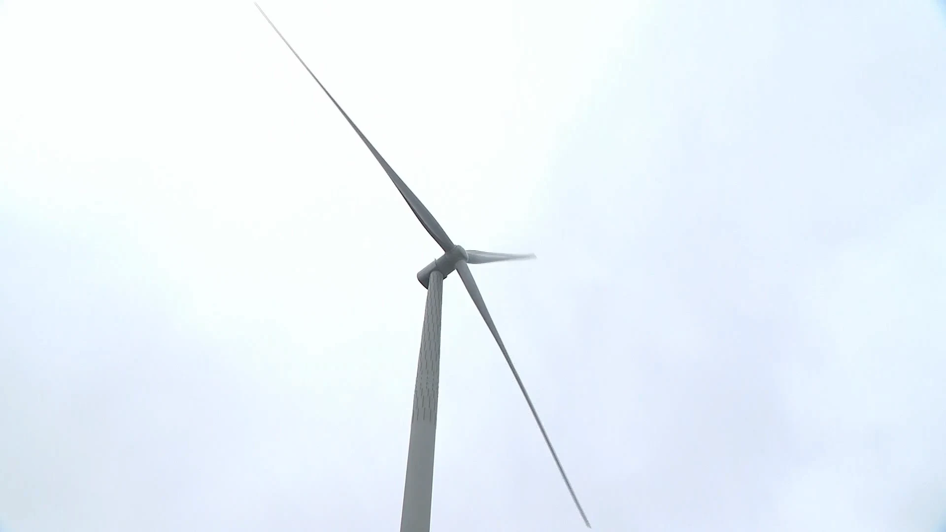 Slapeloosheid, stress, depressie: artsen luiden noodklok over gevolgen windturbineparken