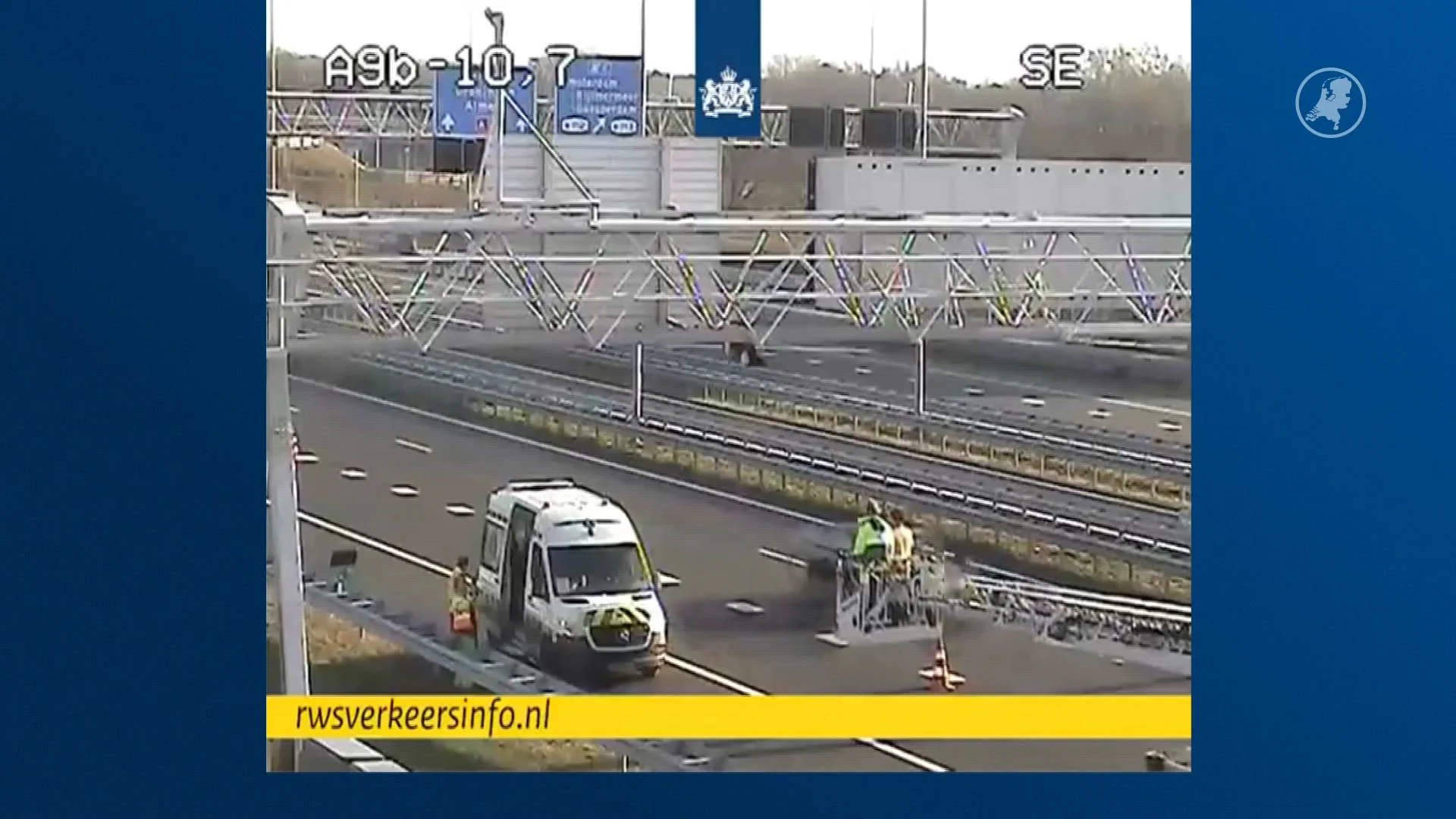 ZIEN: Gans vliegt in portaal op A9 en raakt gewond