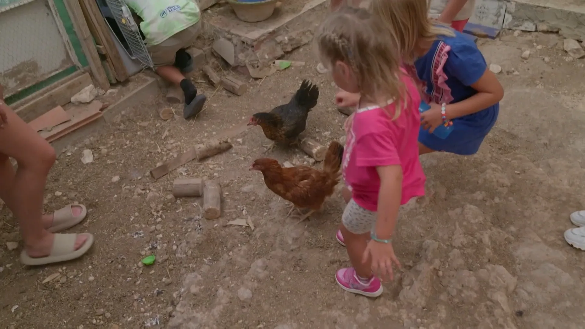 Familie Jelies neemt kippen