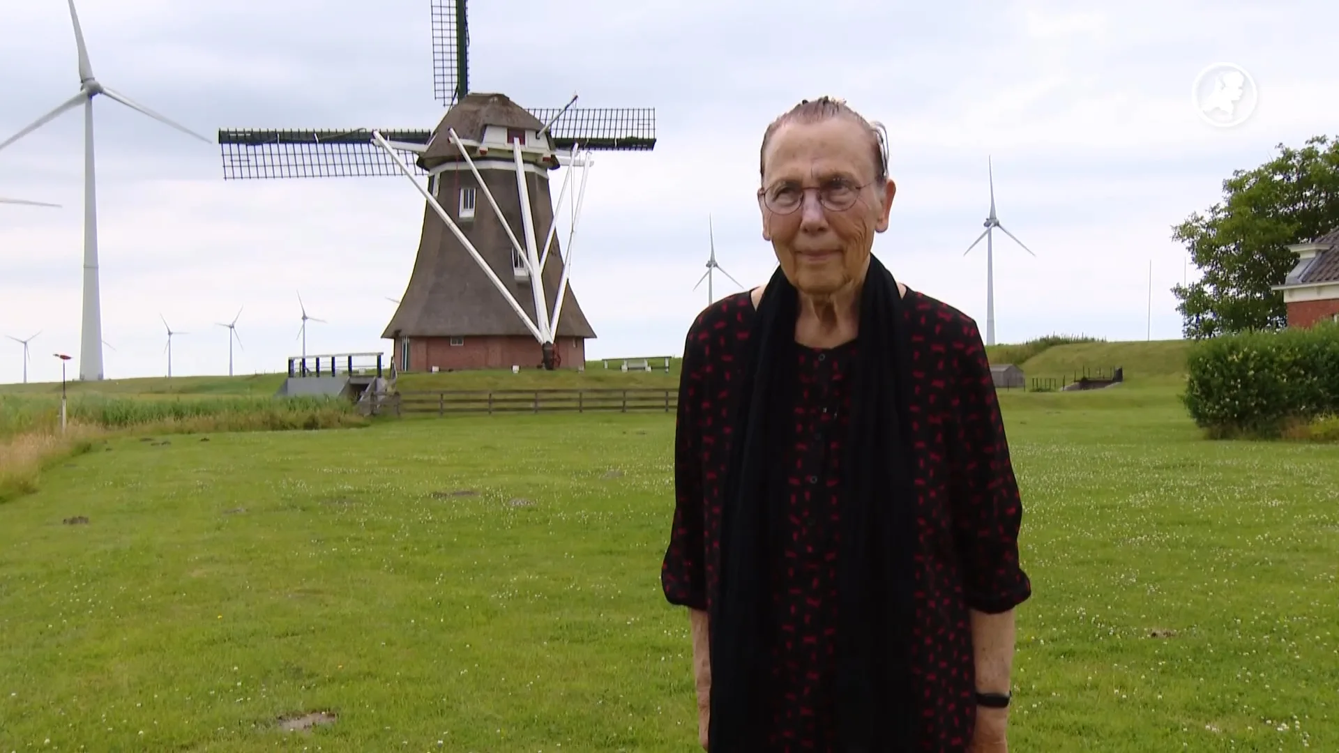 Molenaar vreest voor iconische molen door plannen voor kerncentrales