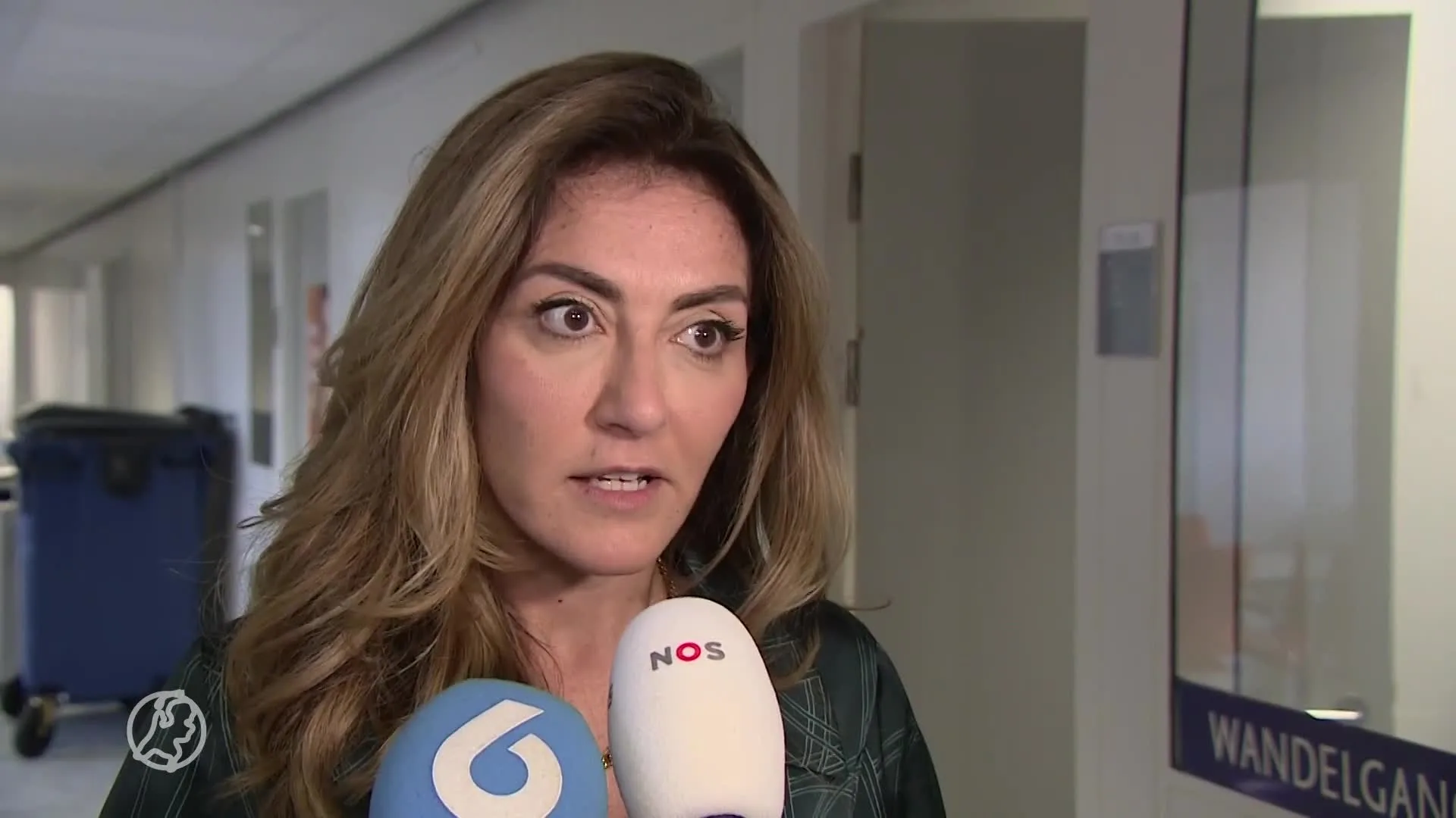 Ye?ilgöz tegen Omtzigt: 'Wat wil je nou wel?