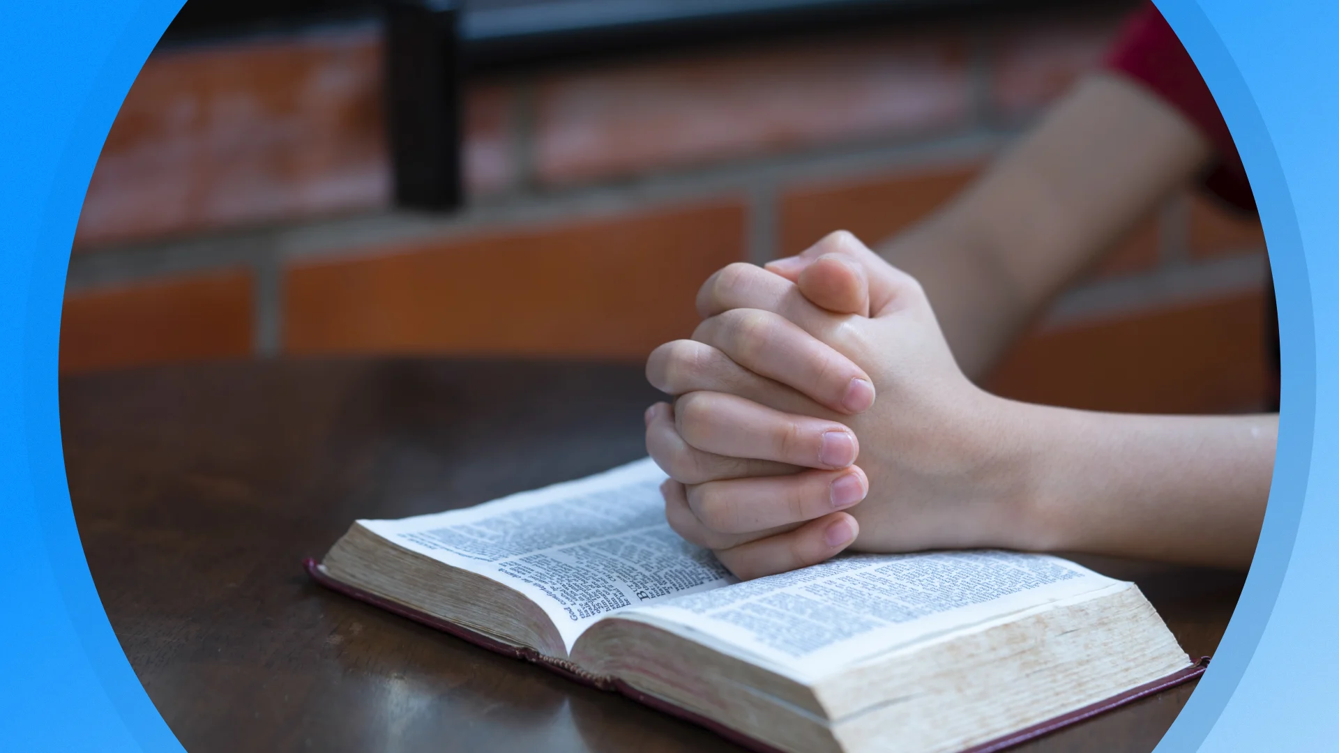 Seizoen 2026, aflevering 741