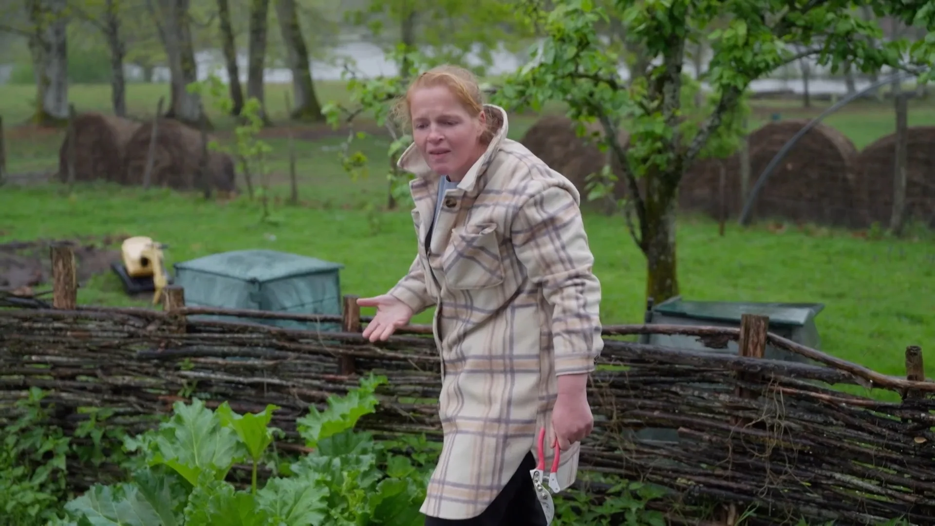 Gabriëlle gaat op zoek naar rabarber uit eigen tuin... in de regen!