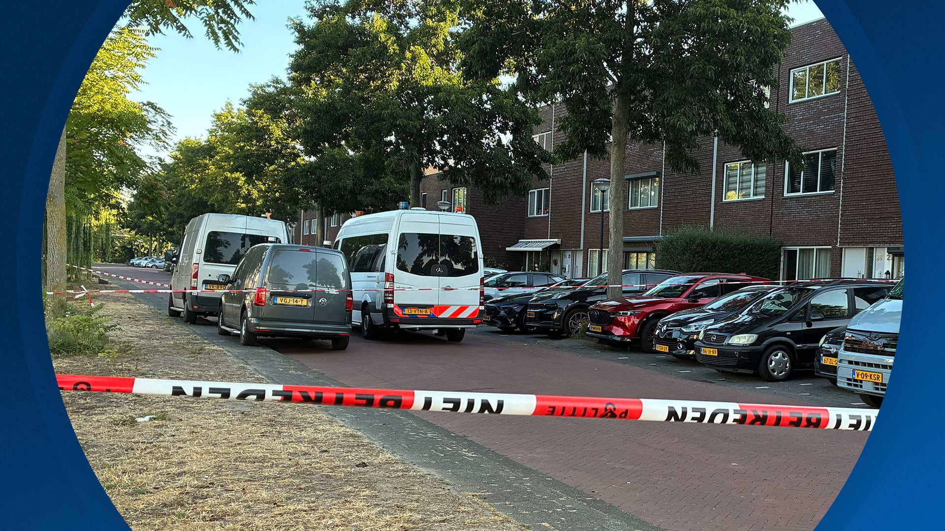 Seizoen 2026, aflevering 220