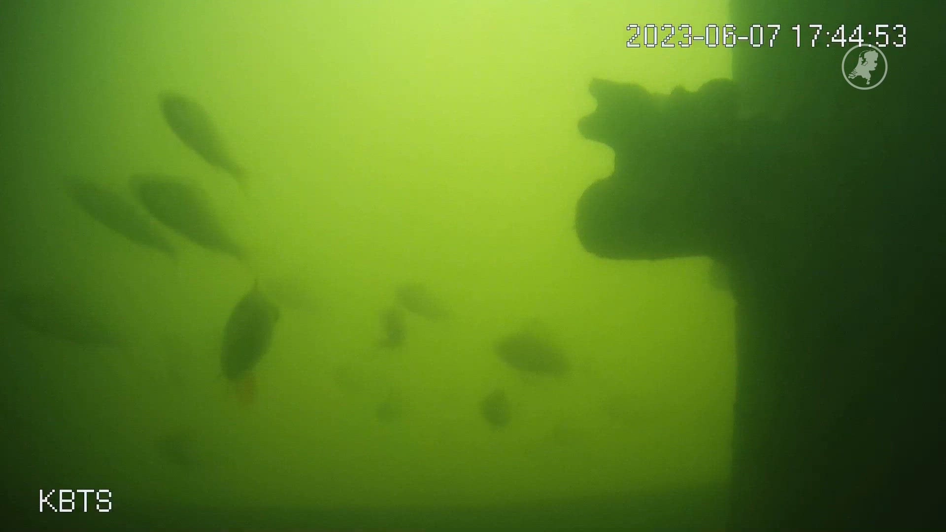 De Utrechtse visdeurbel weer online