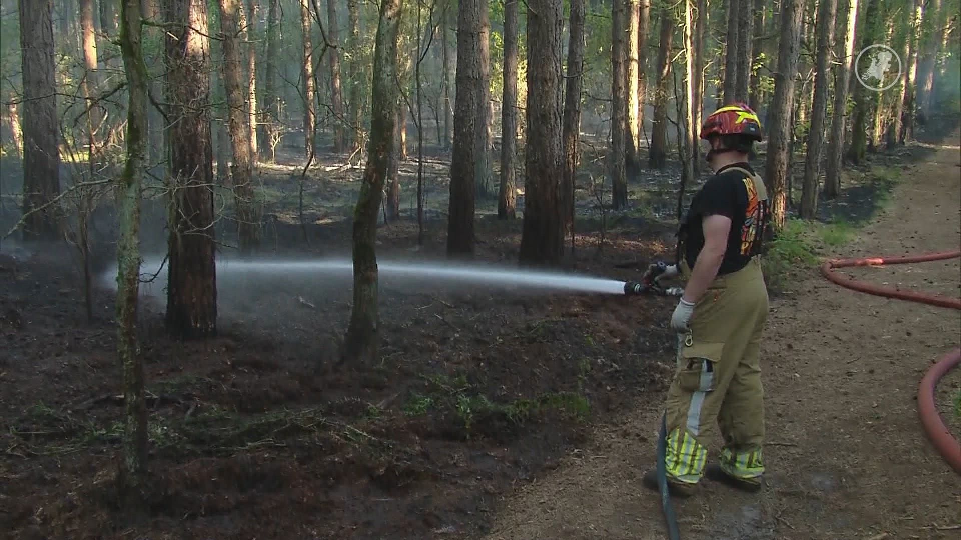 Grote natuurbrand in Helden