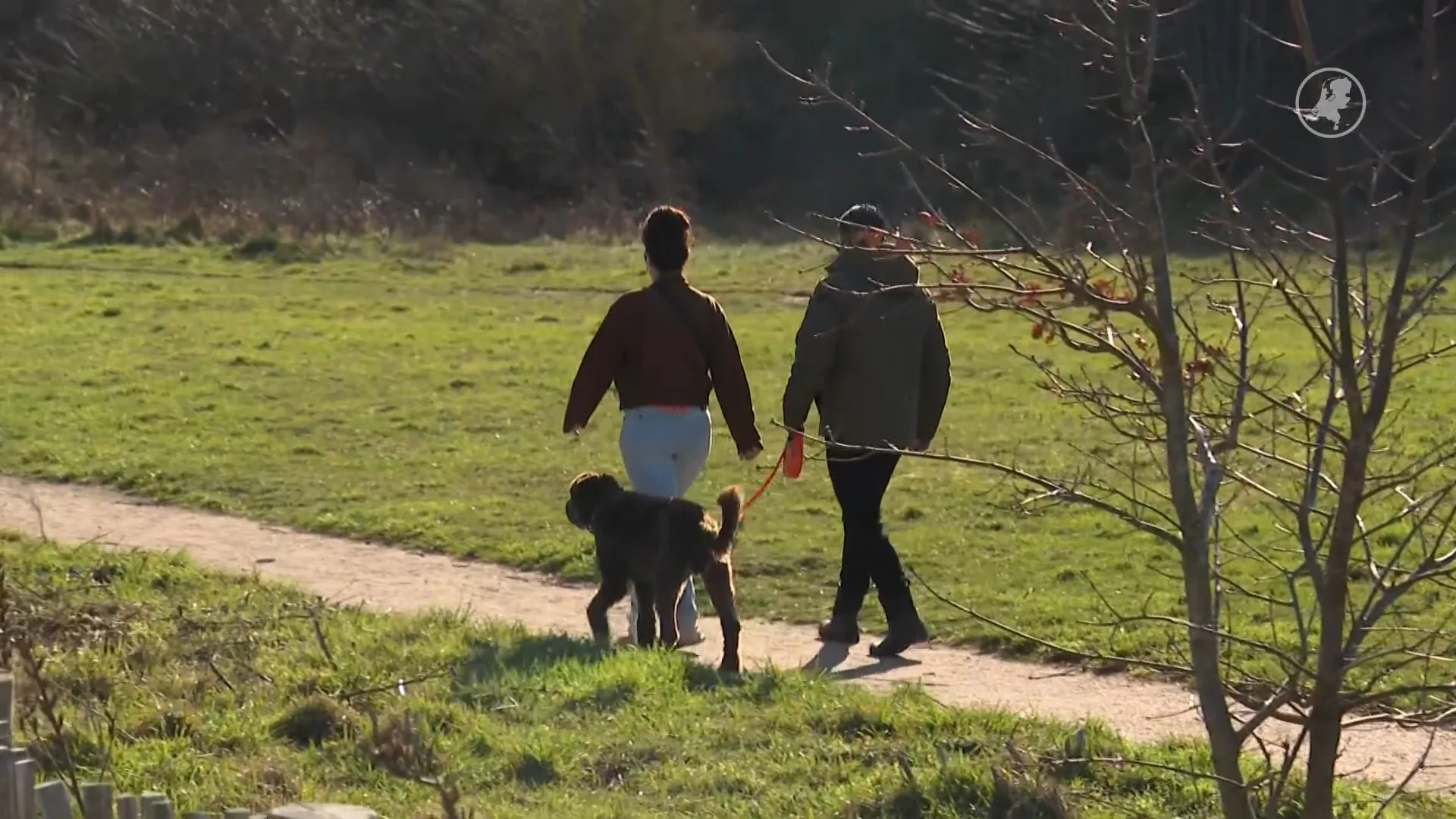 Discussie over hondenbelasting laait weer op