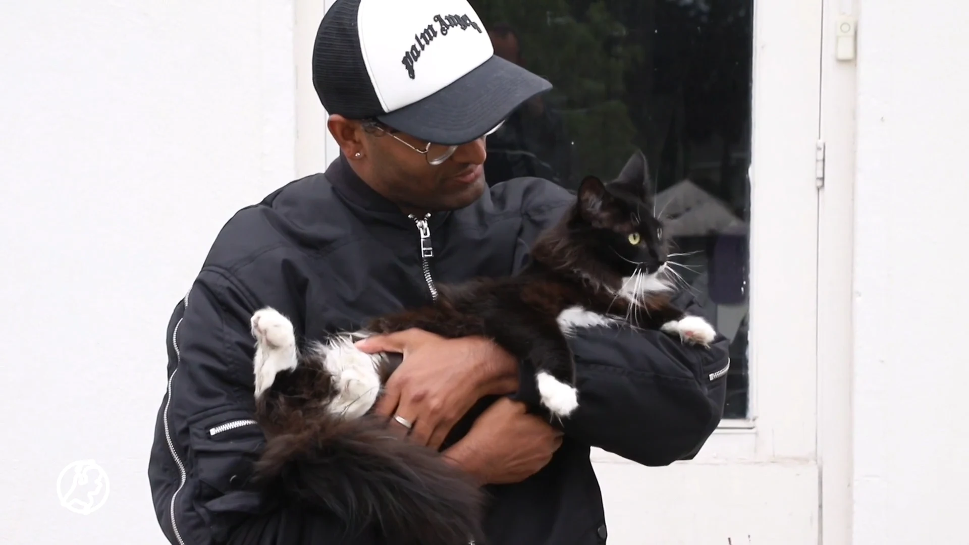 Brandweer redt poes uit een dakgoot