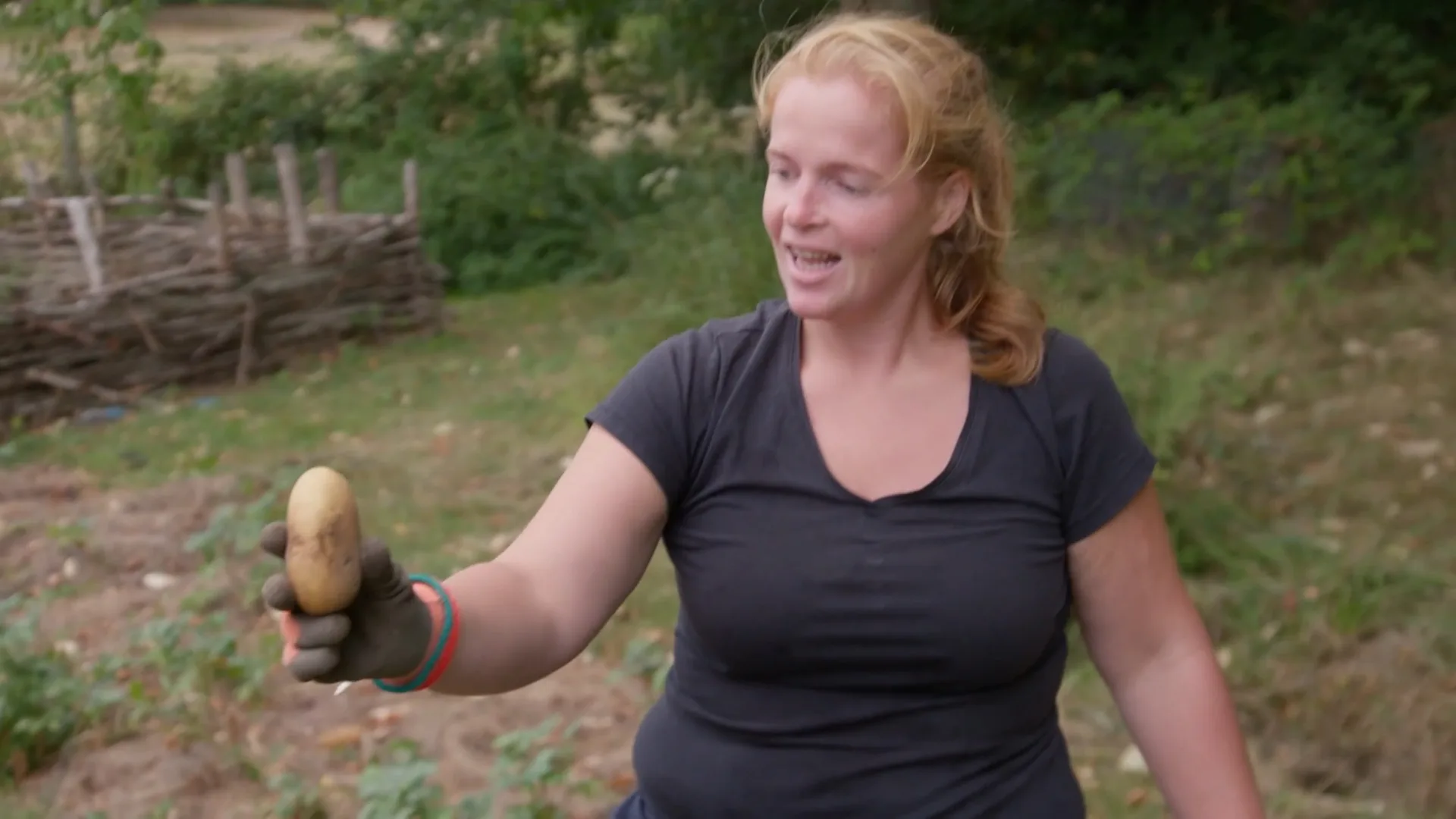 Familie Gnodde gaat aardappels oogsten