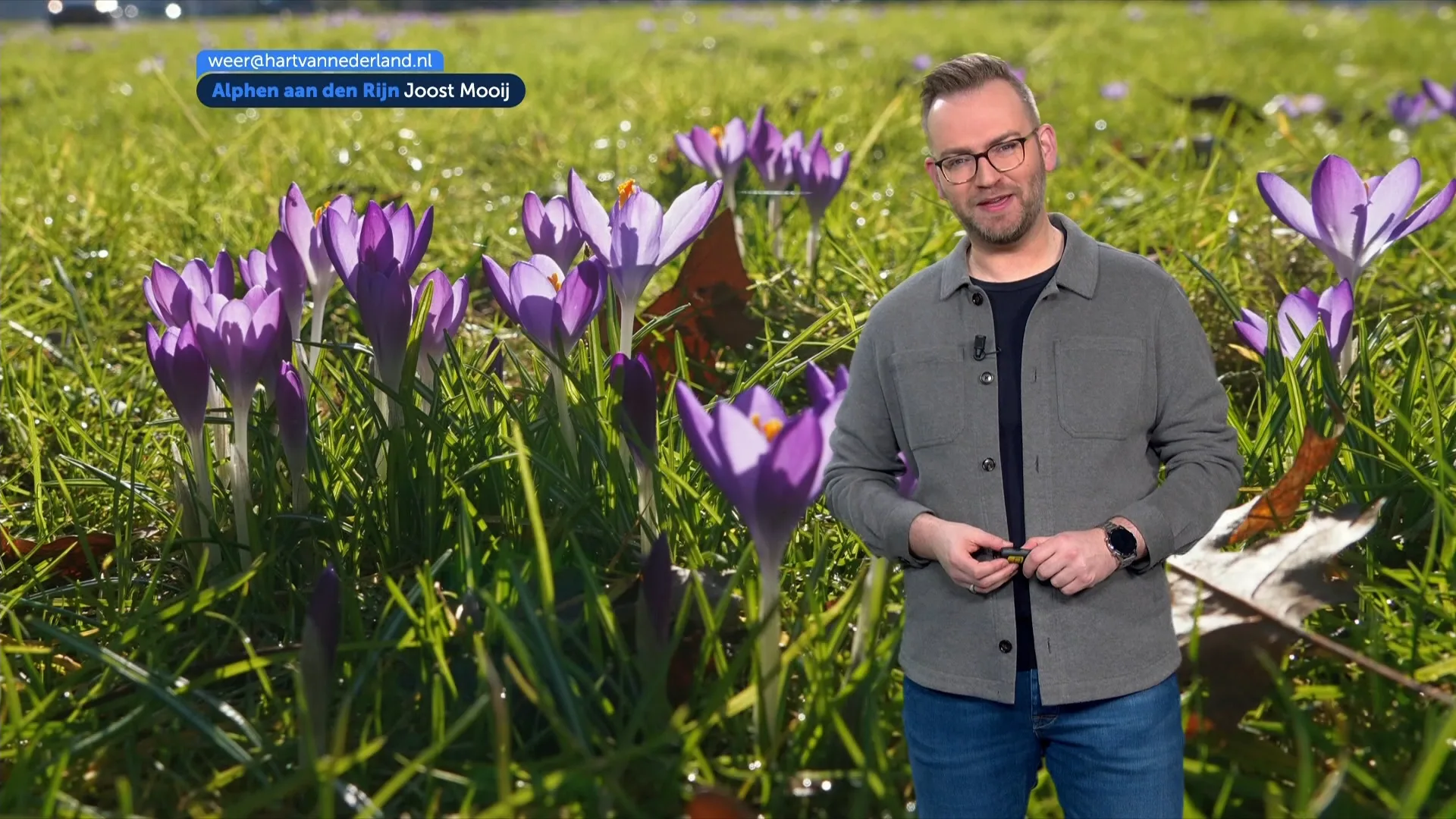 Weerbericht zaterdag 7 februari 2026