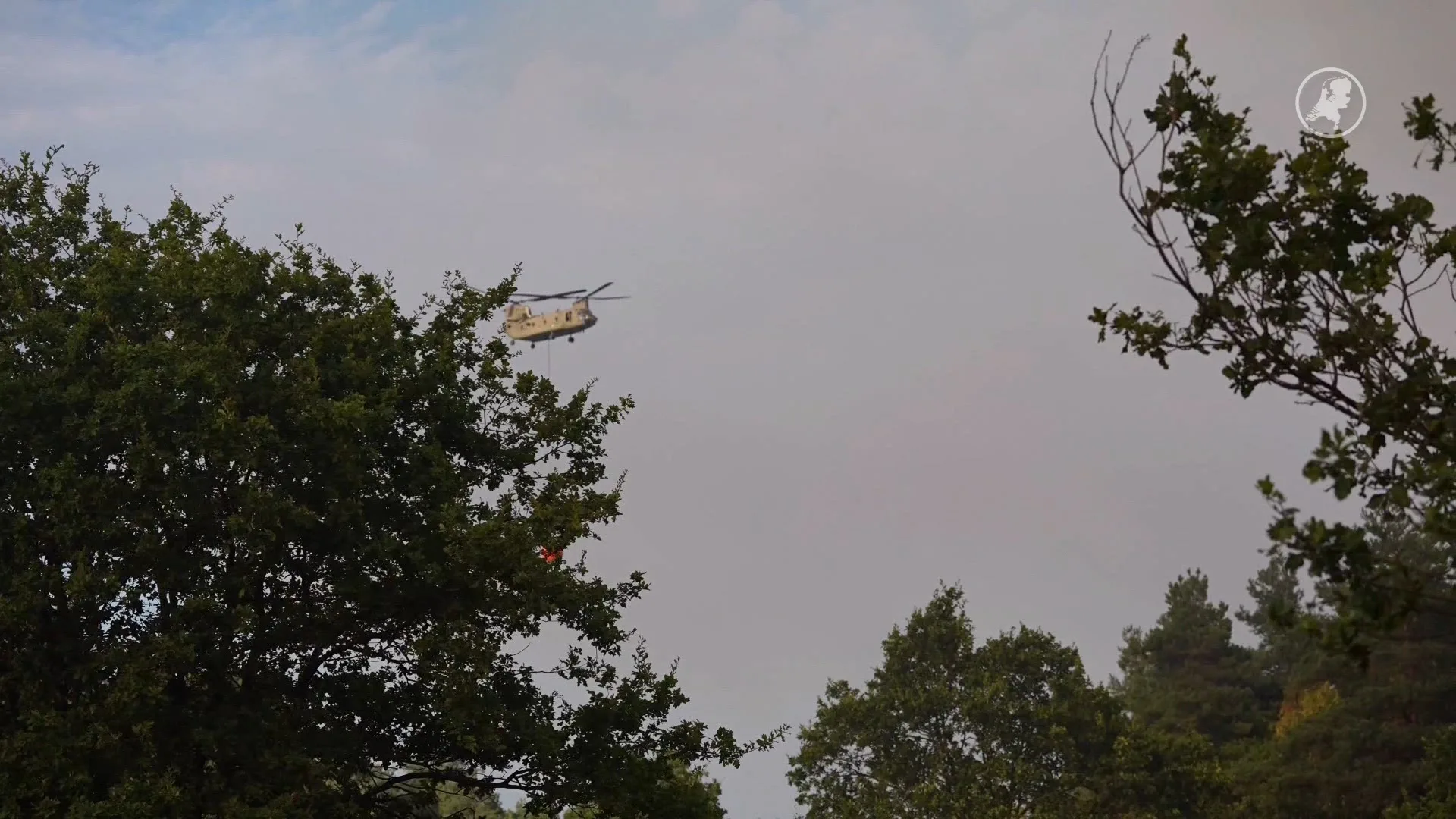 Chinooks droppen bijna 900.000 liter water op natuurbrand Limburg
