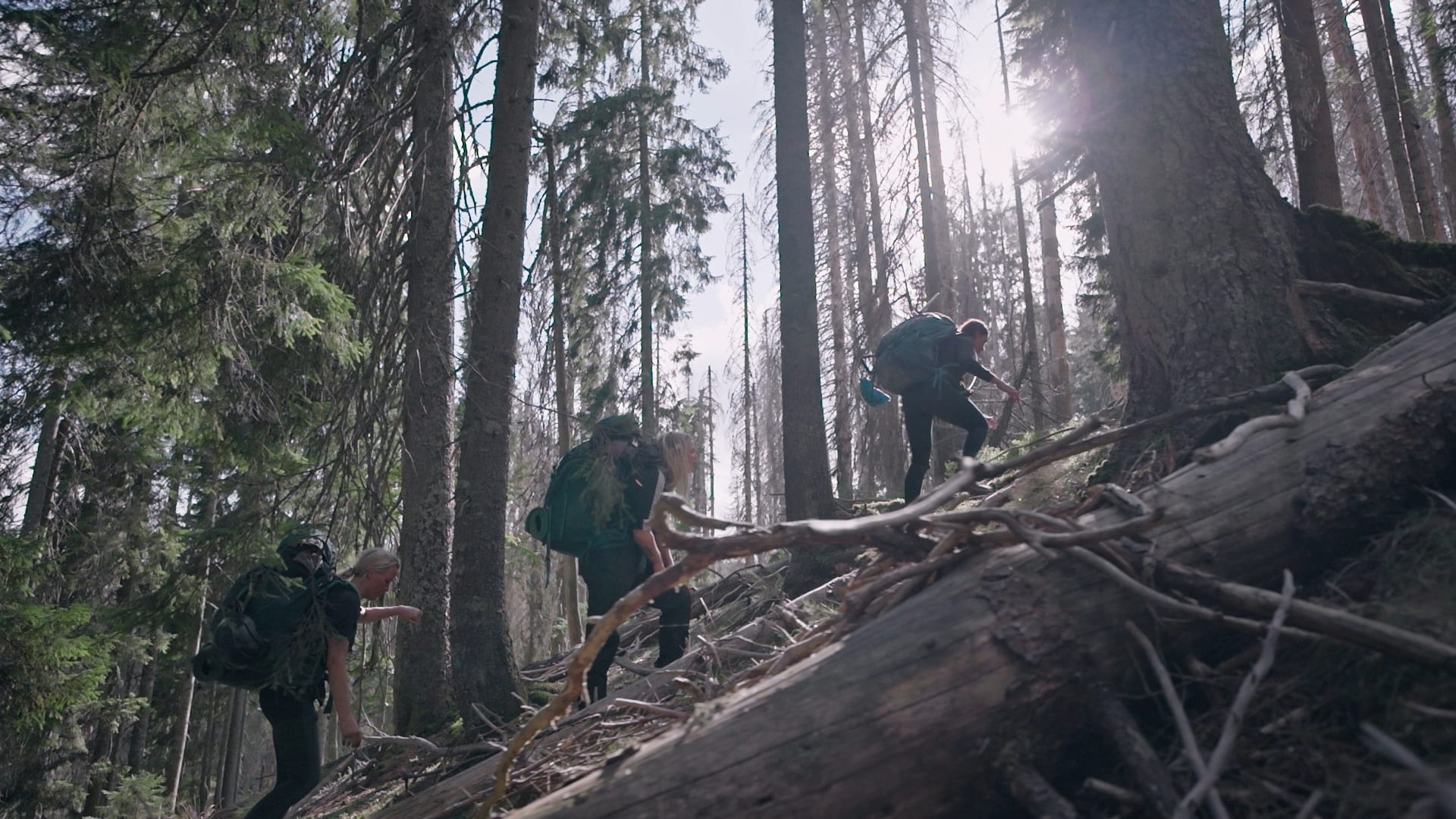 Seizoen 1, aflevering 8