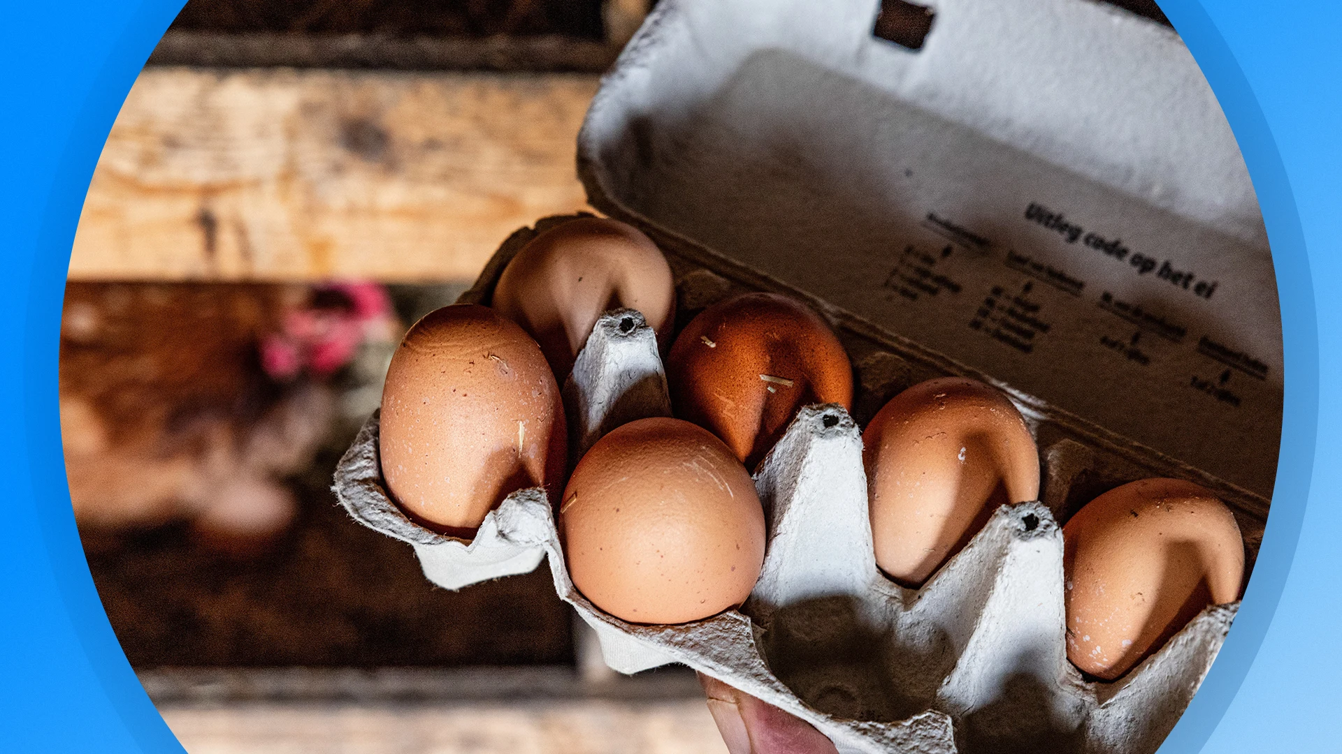 Seizoen 2026, aflevering 1149